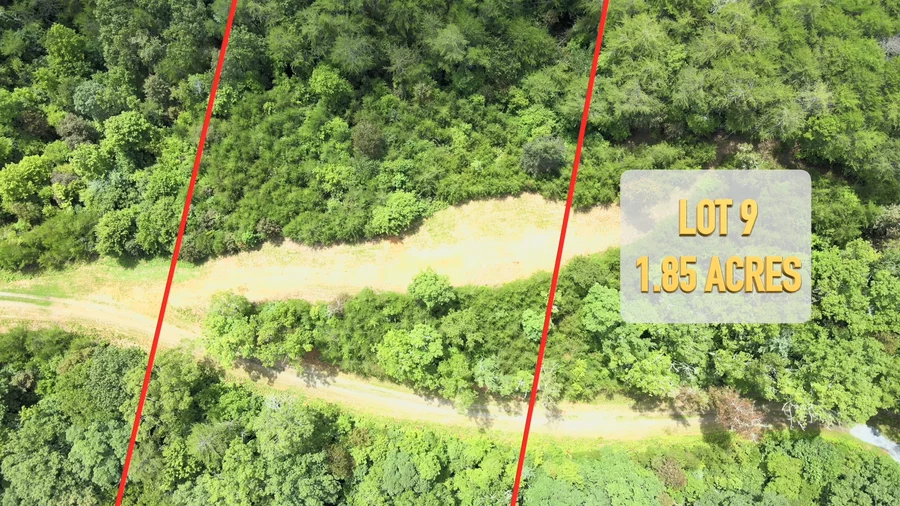 Lot 9 video poster