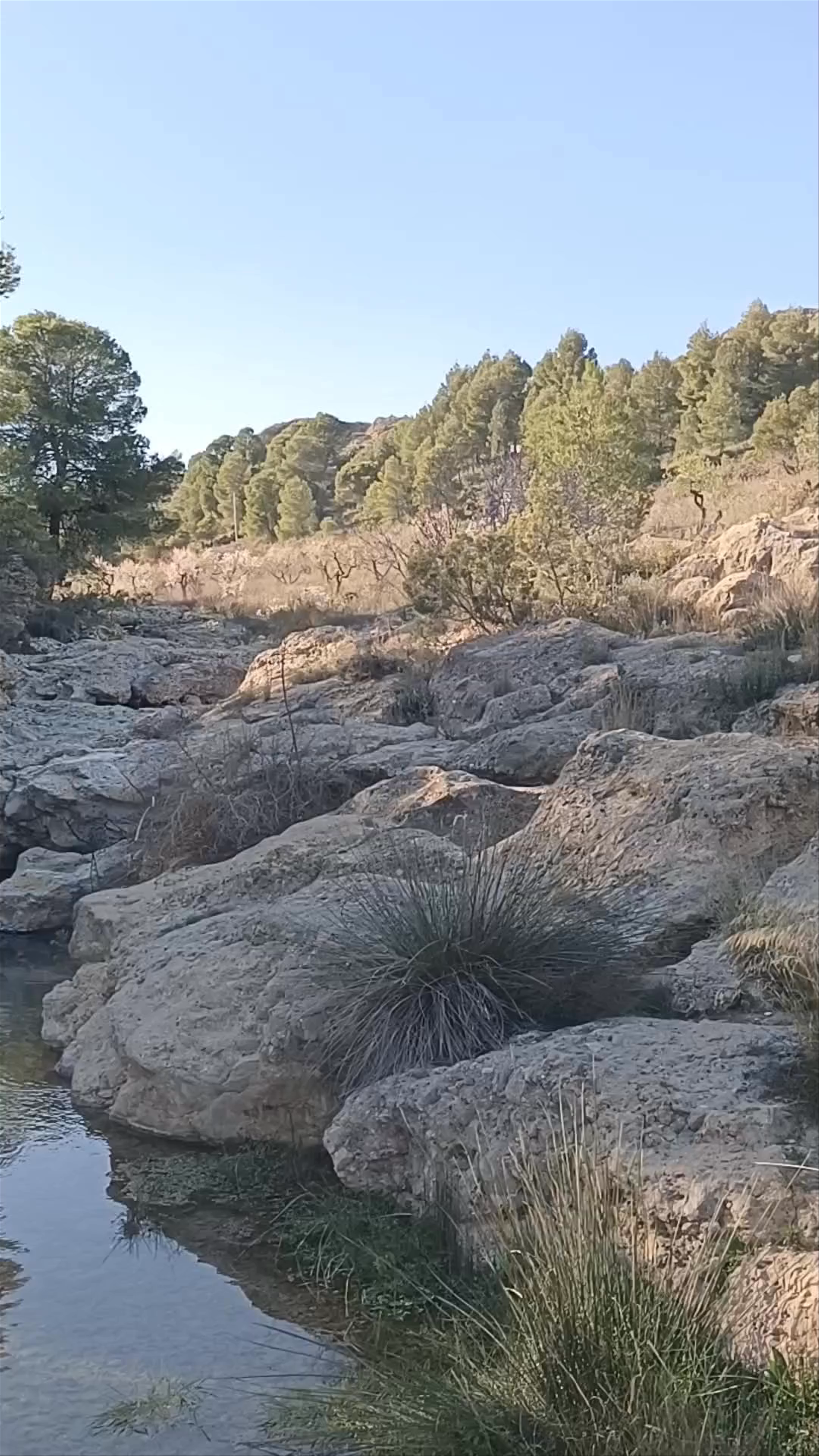 Paraje Fuente de Mula