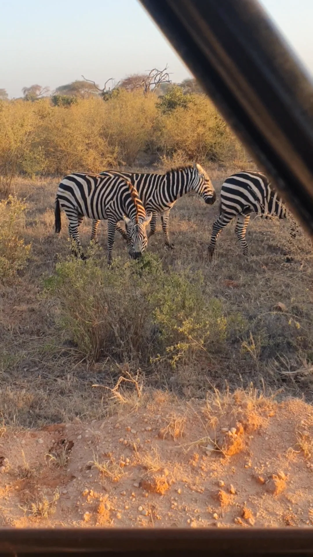 Video 18 · Benjamin · Kenya: in the heart of Africa, between safaris, dreamy beaches, and local villages