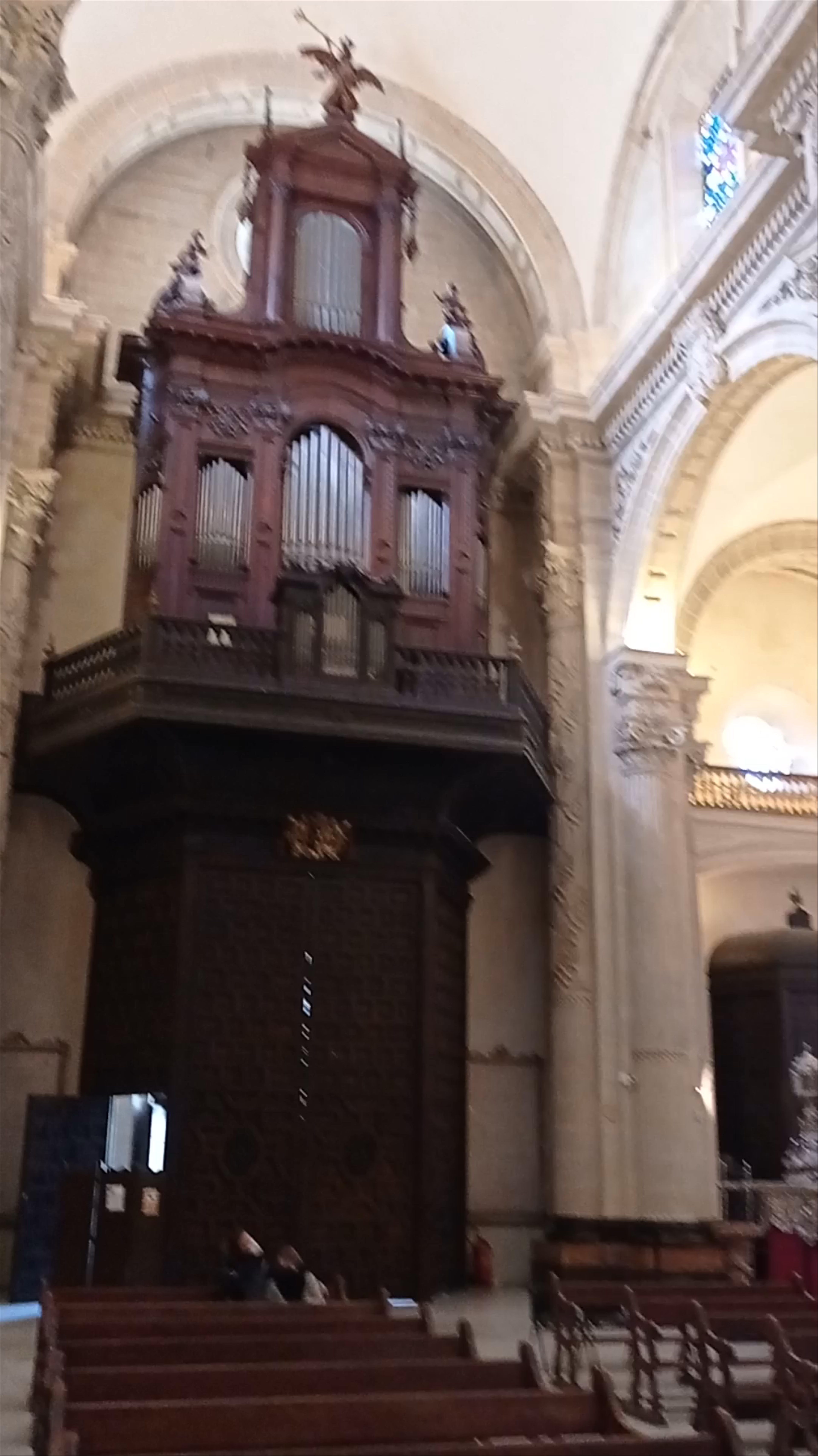 Iglesia Colegial del Divino Salvador