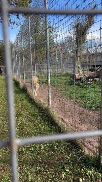 Shalom Wildlife Sanctuary - Parks Near Me - West Bend, Wisconsin