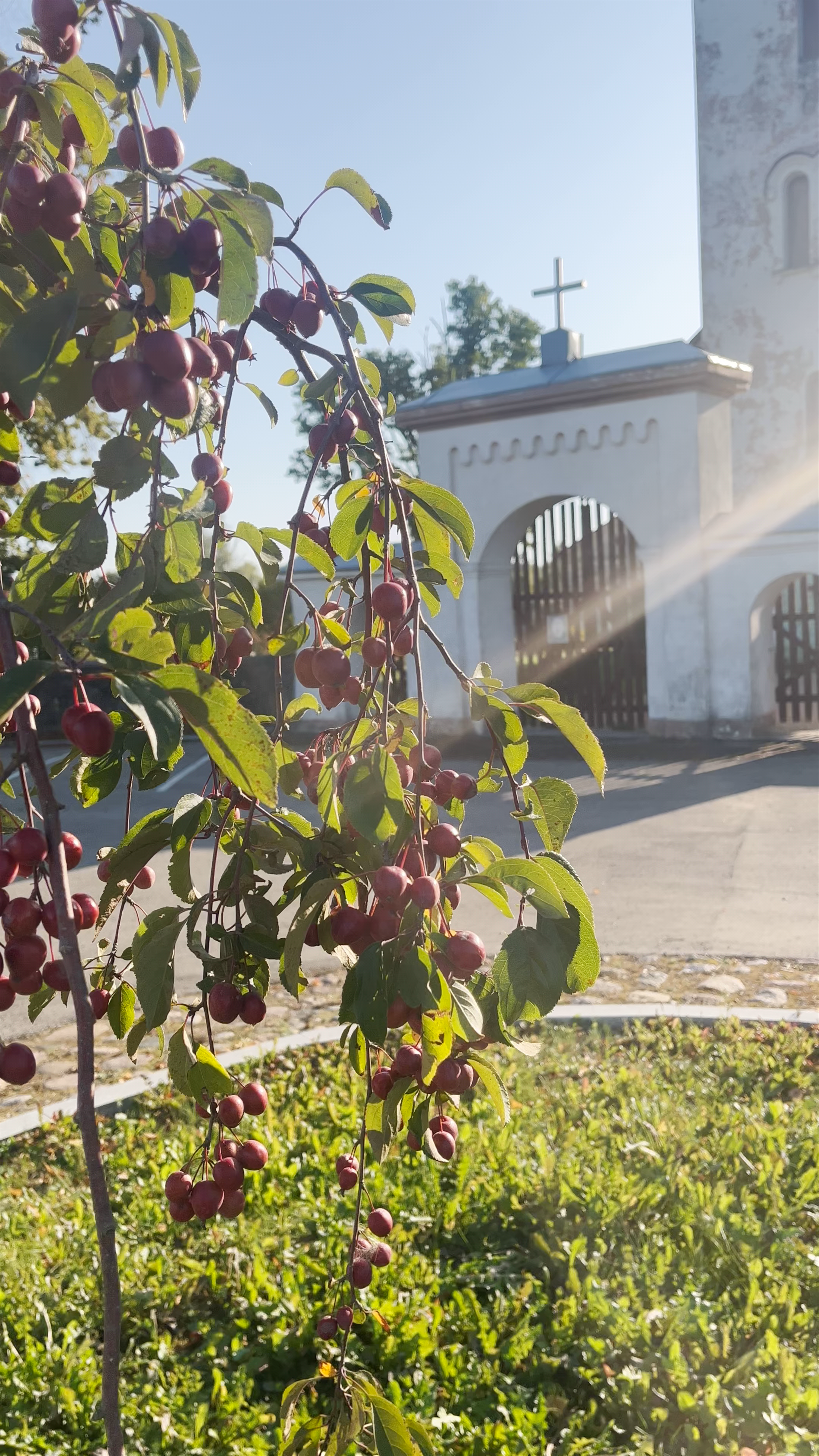 Ērberģe Evangelical Lutheran Church: A Serene Latvian Countryside Gem