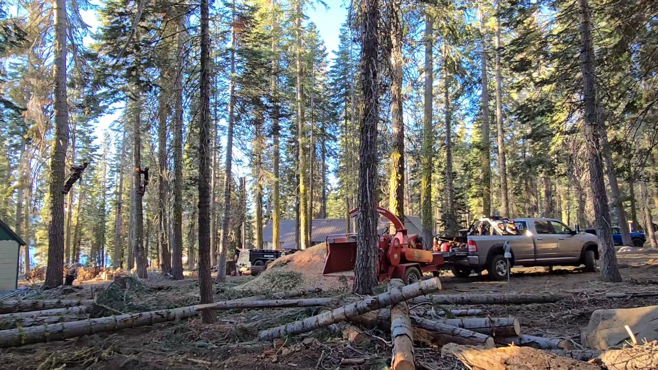 3:10 Timber Services - They were super efficient each and every day! - Tree Services Near Me