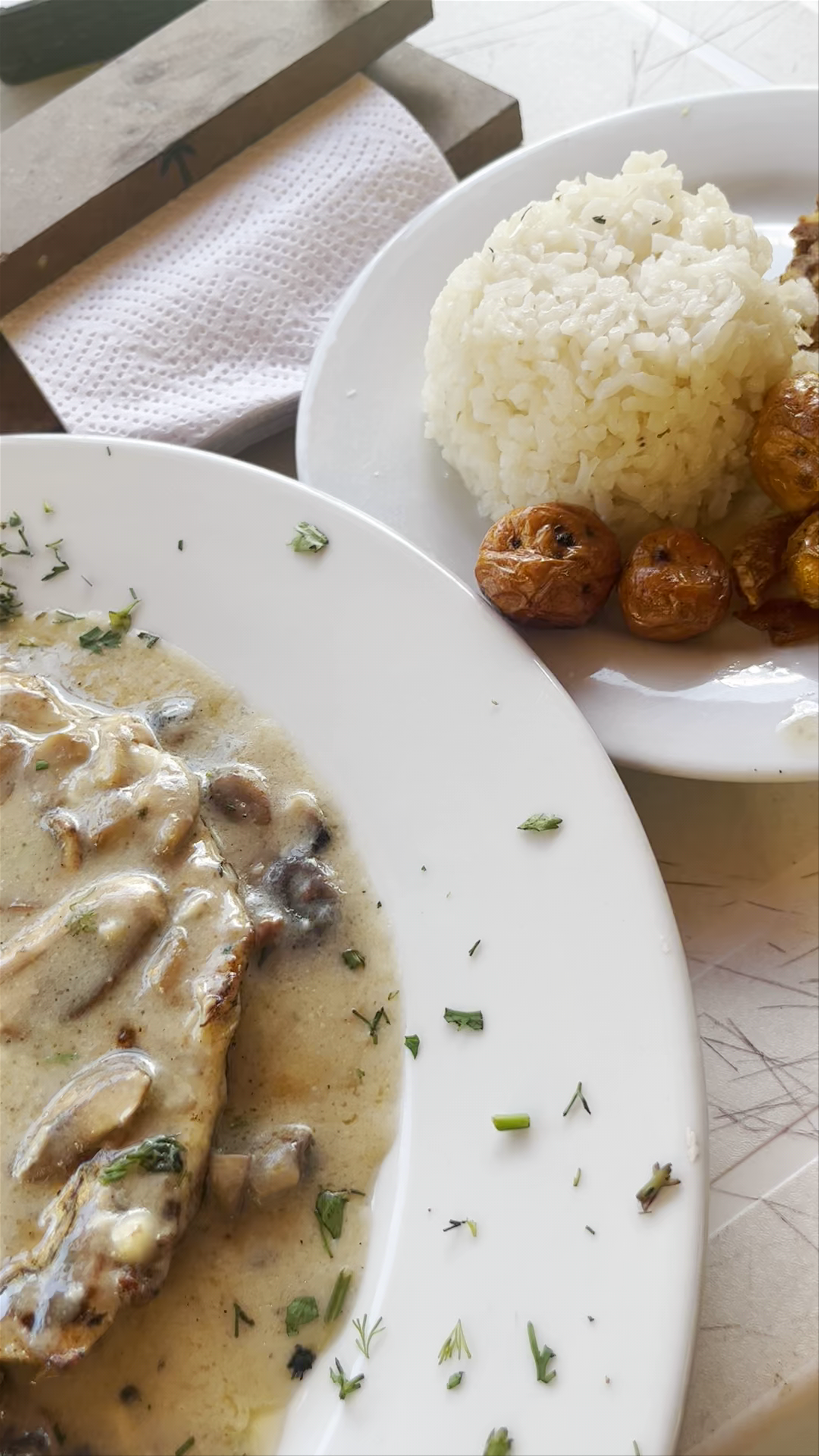 Ecoturistico Y Extremo YAGUARE Park