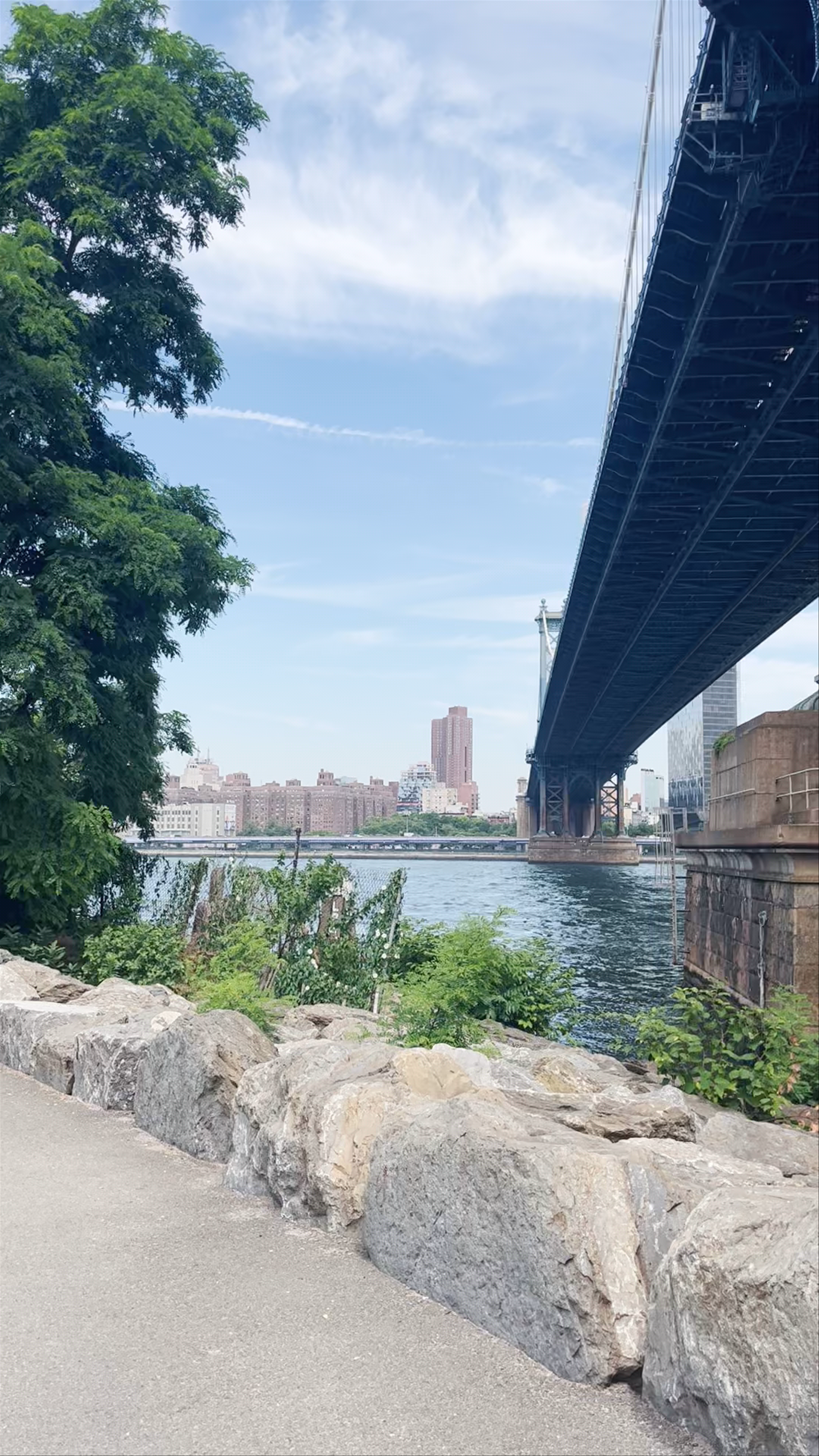 Serene Stroll Under Manhattan Bridge at Brooklyn Bridge Park