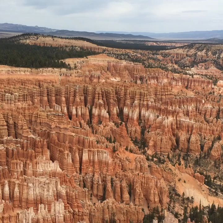 GC Tours - We took Bryce and Zion canyon. experience Ben our tour guide gave is memory of life time . Sight he took us to was totally stunning - Tours Near Me - Las Vegas, Nevada