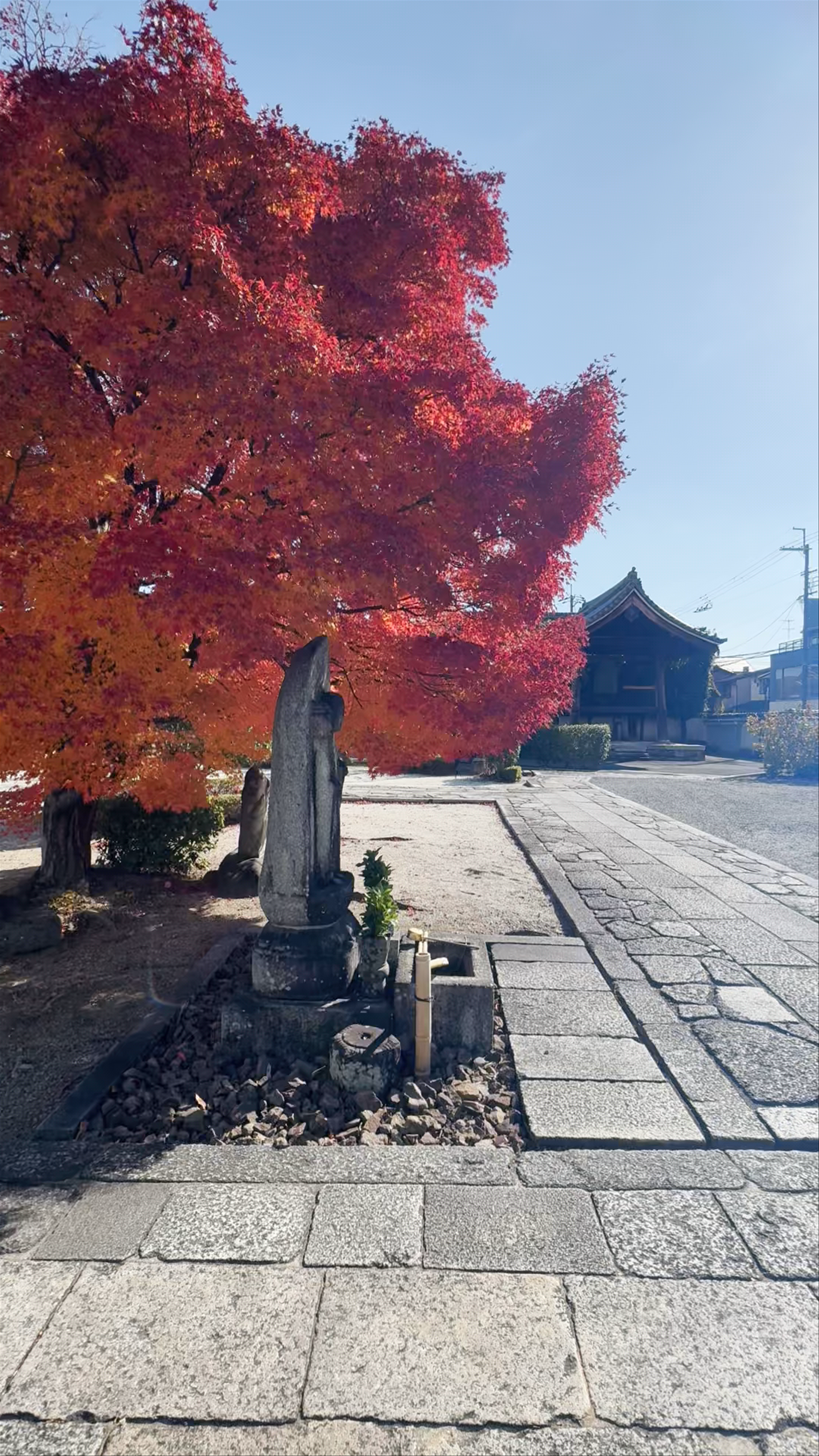 Homman-ji Temple