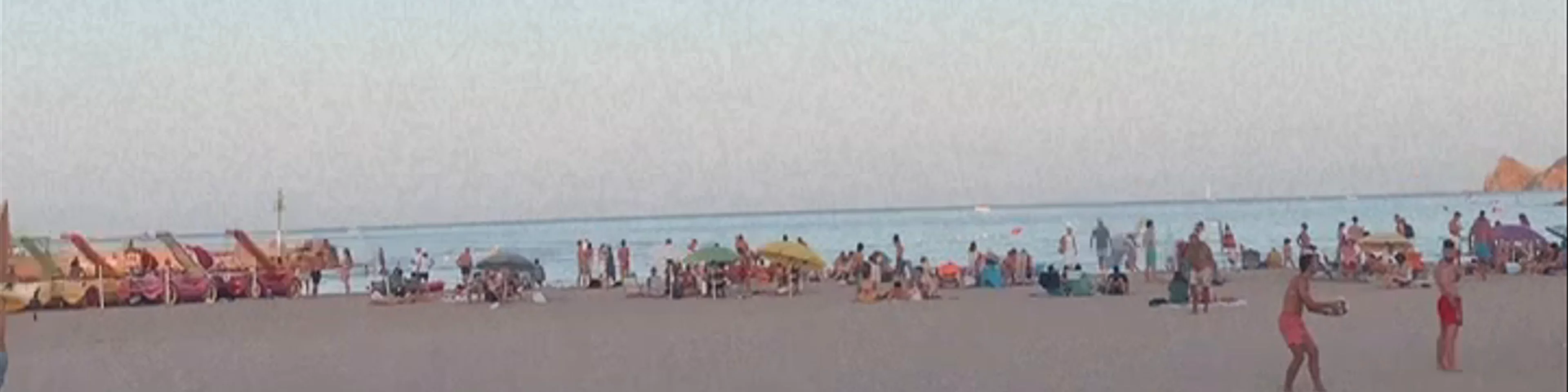 Platja de l'Arenal