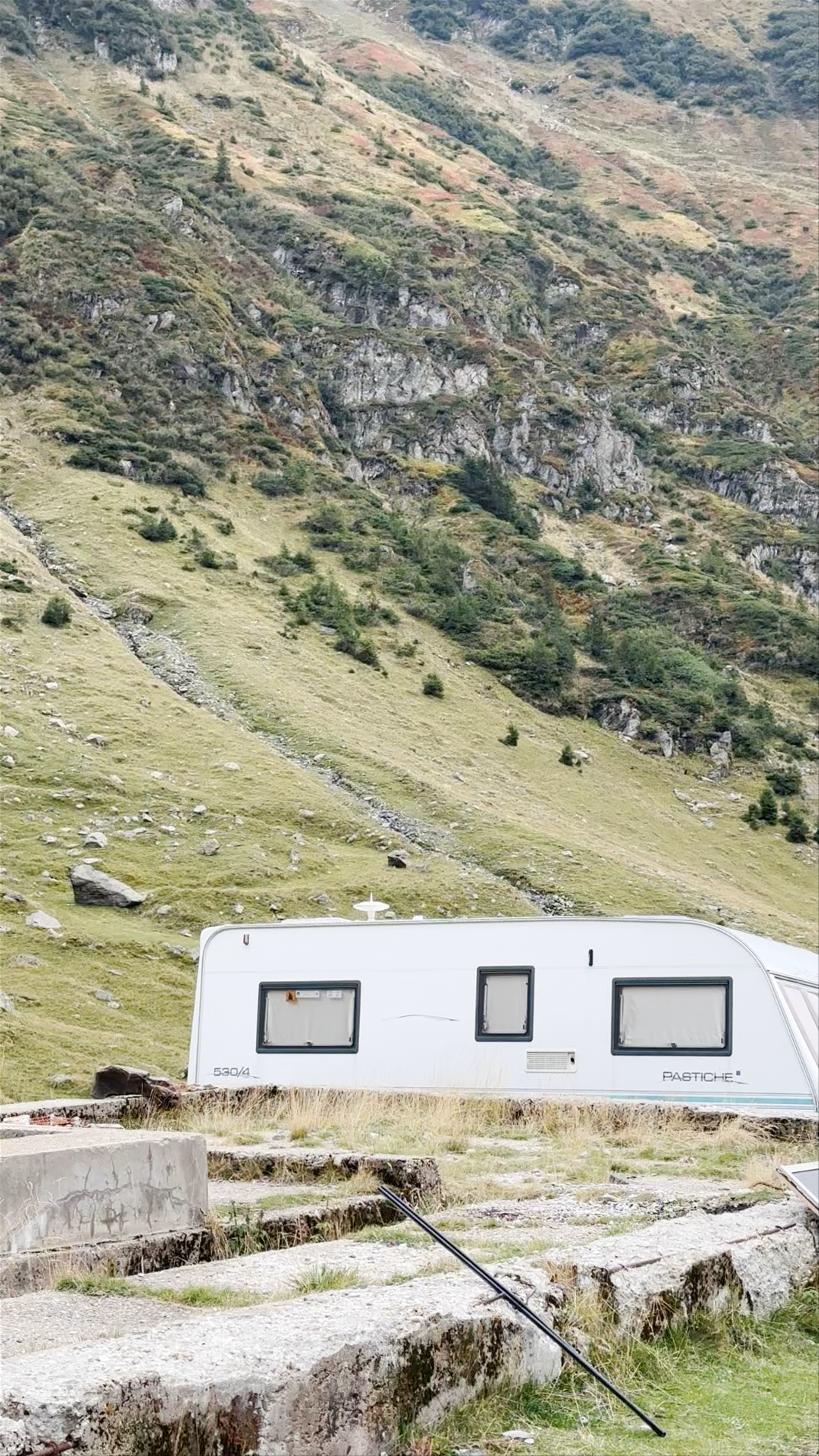Magarusii prietenosi de pe Transfagarasan