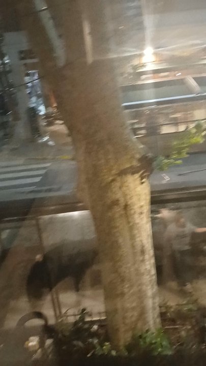 Prado y Neptuno - Cuban Near Me - Buenos Aires, C