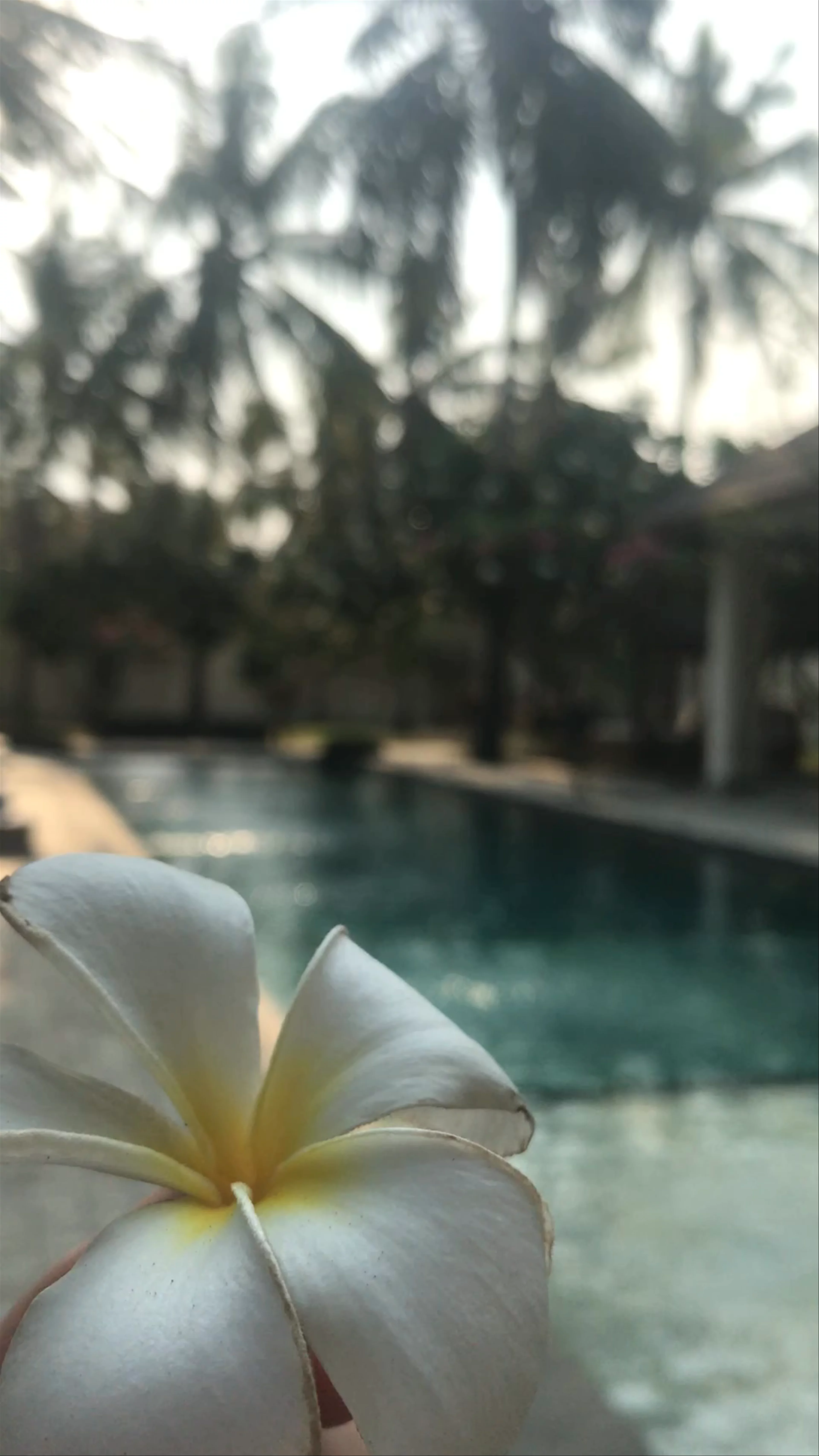 Kelapa Villas, Gili Trawangan