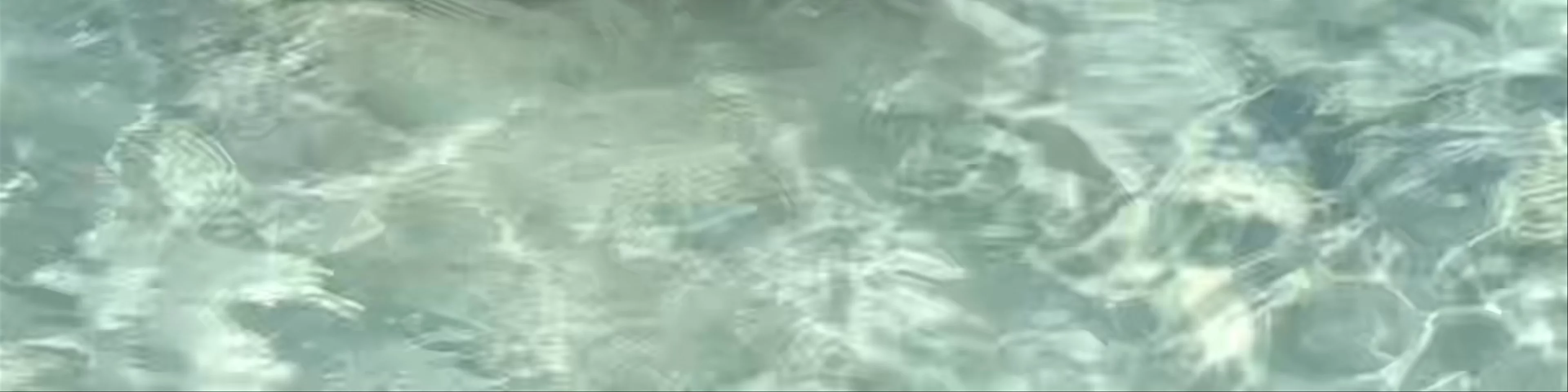 Pig Beach