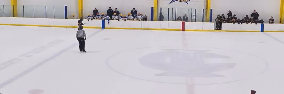 Fletcher Hemeon: 13U AAA Highlights & Impressive Goals