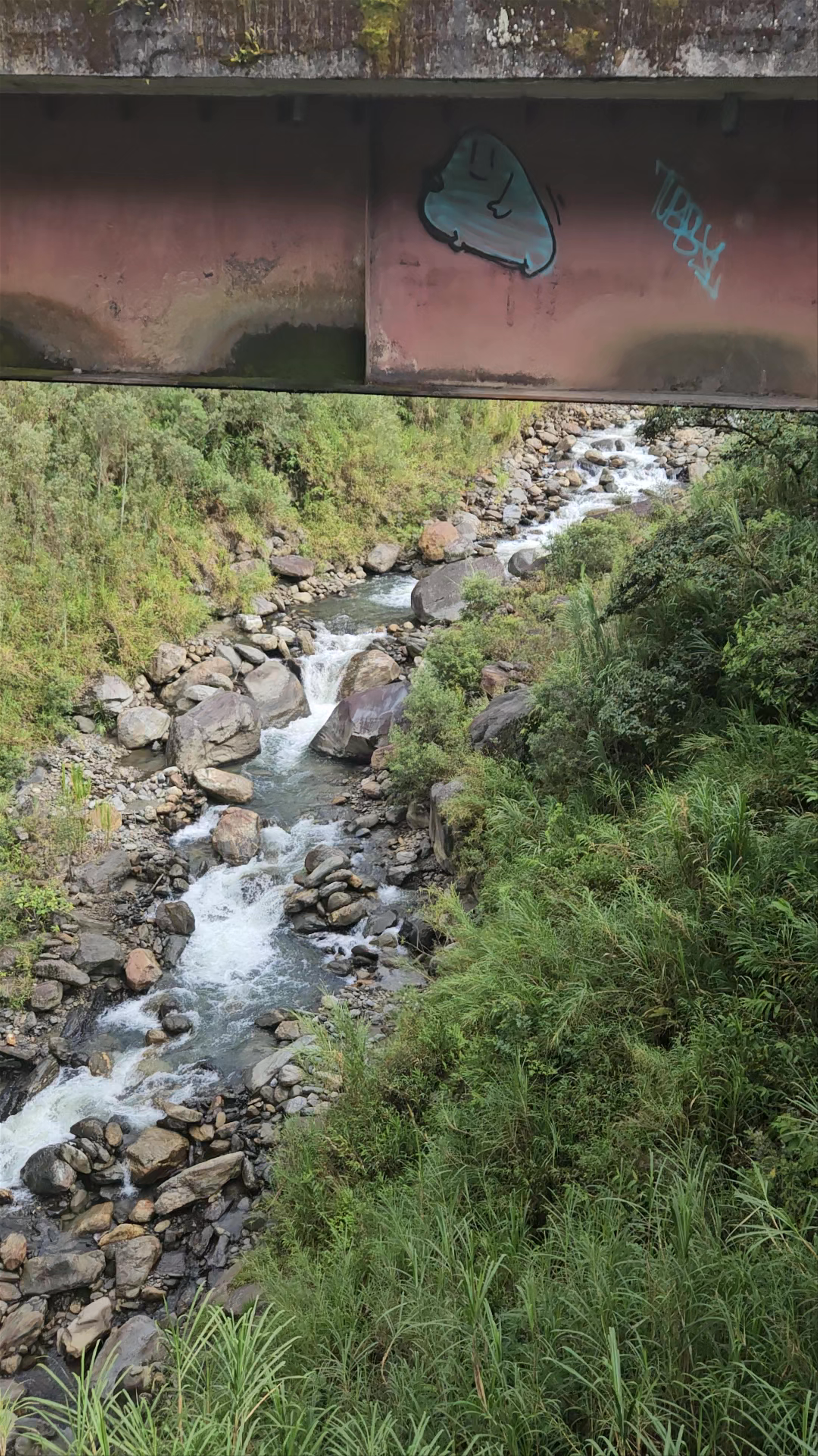 Mega Adventure Park Río Blanco..