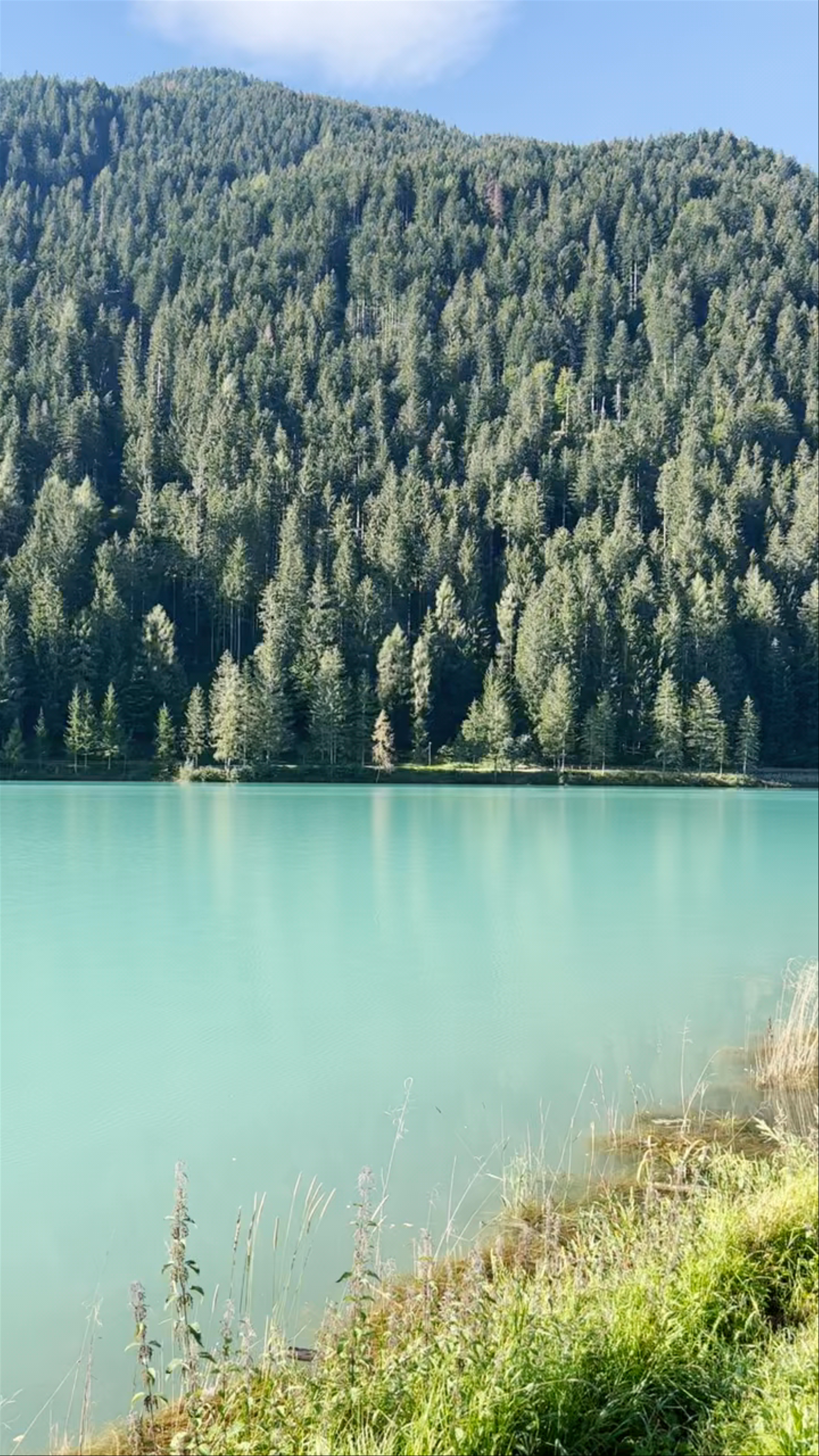 Parrocchia di San Lucano Vescovo