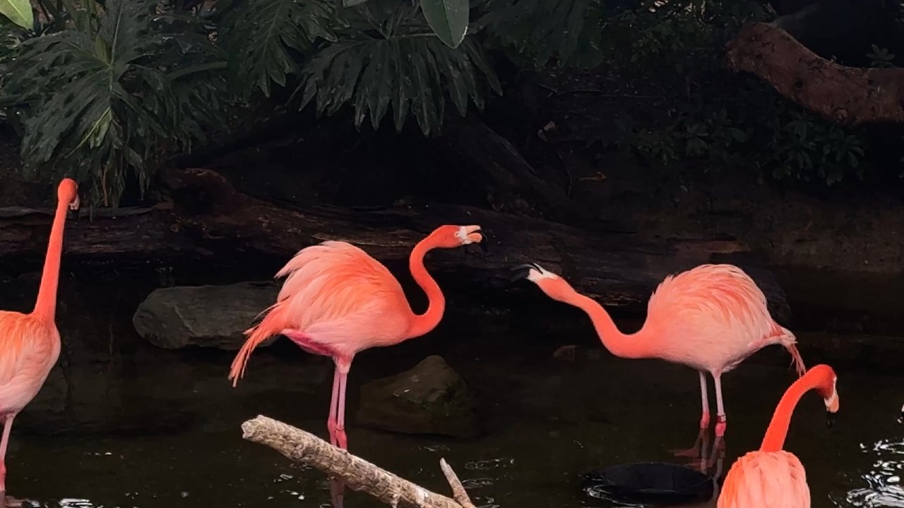 National Aviary - Zoos Near Me - Pittsburgh, Pennsylvania
