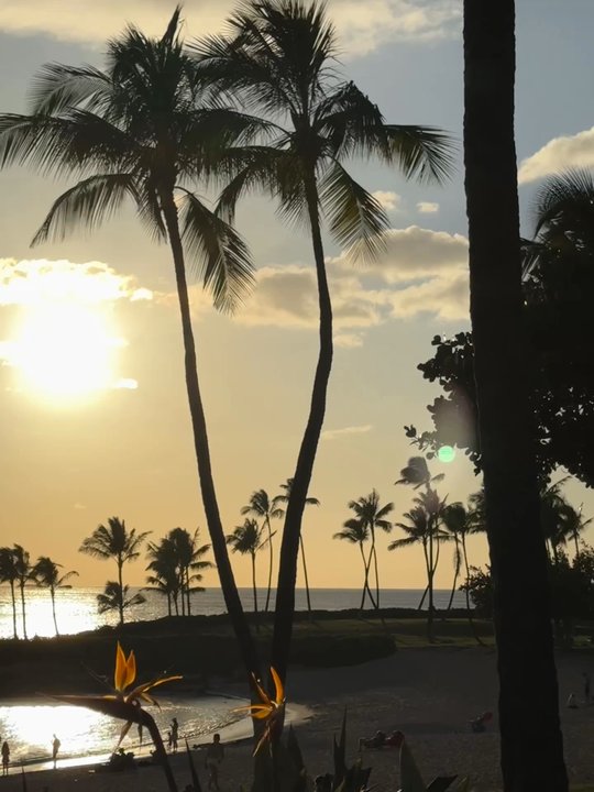 Longboards - Longboards: happy hour 3-4pm with $5 pupus and $3 off drinks. Self or valet parking for 3 hrs is $3 w/a $50 receipt. - Bars Near Me - Kapolei, Hawaii
