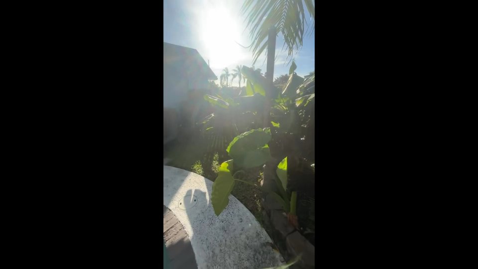 Listing photo-2