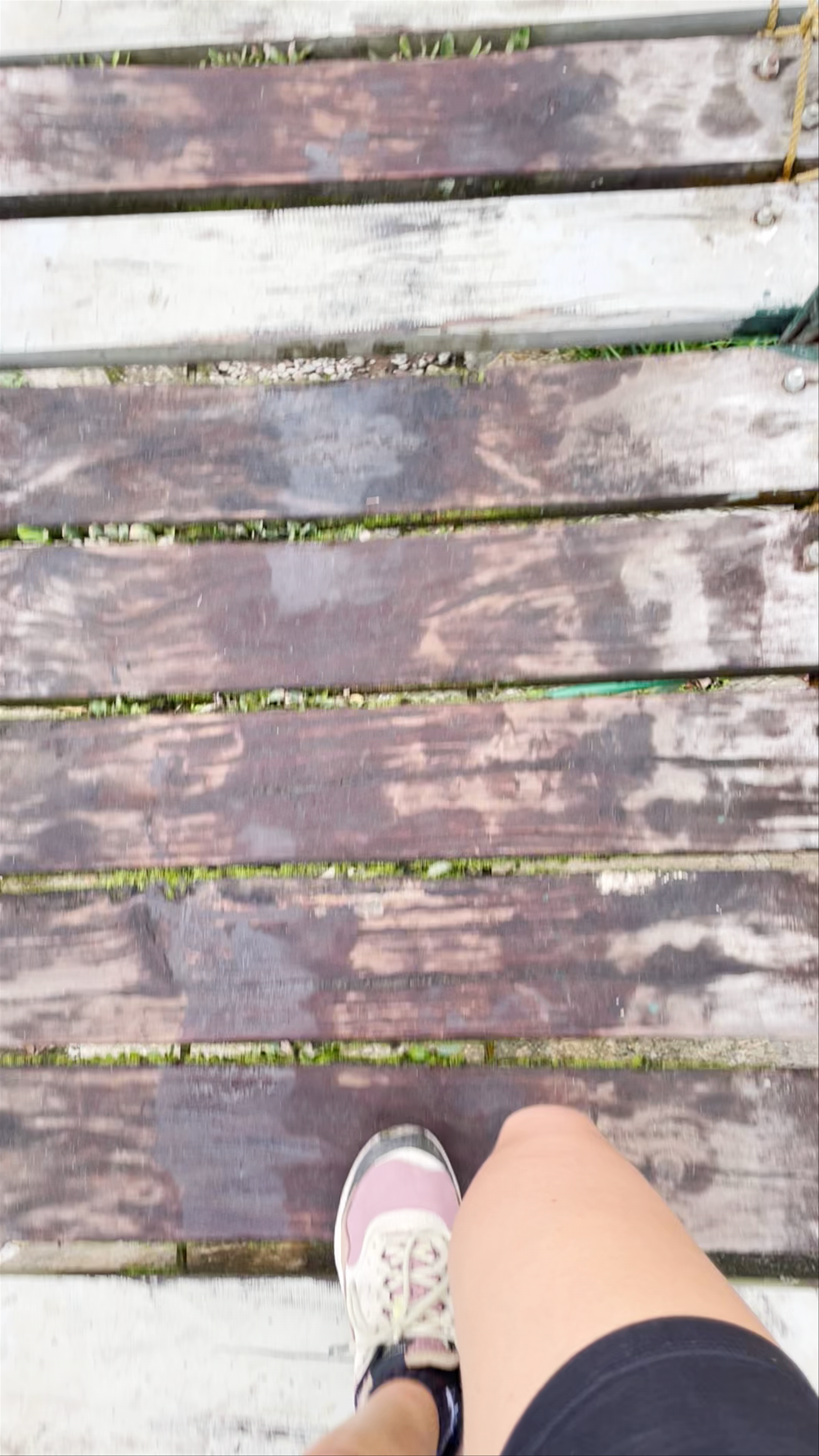 Pulangbato Falls Valencia