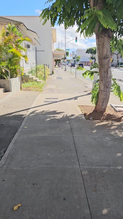 Wuwei Chong Qing Cuisine - The walk - Szechuan Near Me - Honolulu, Hawaii