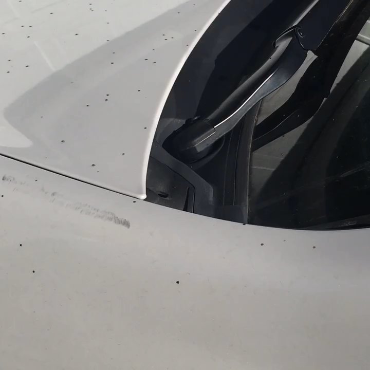 Continental Subaru - Auto Repair Near Me - Anchorage, Alaska