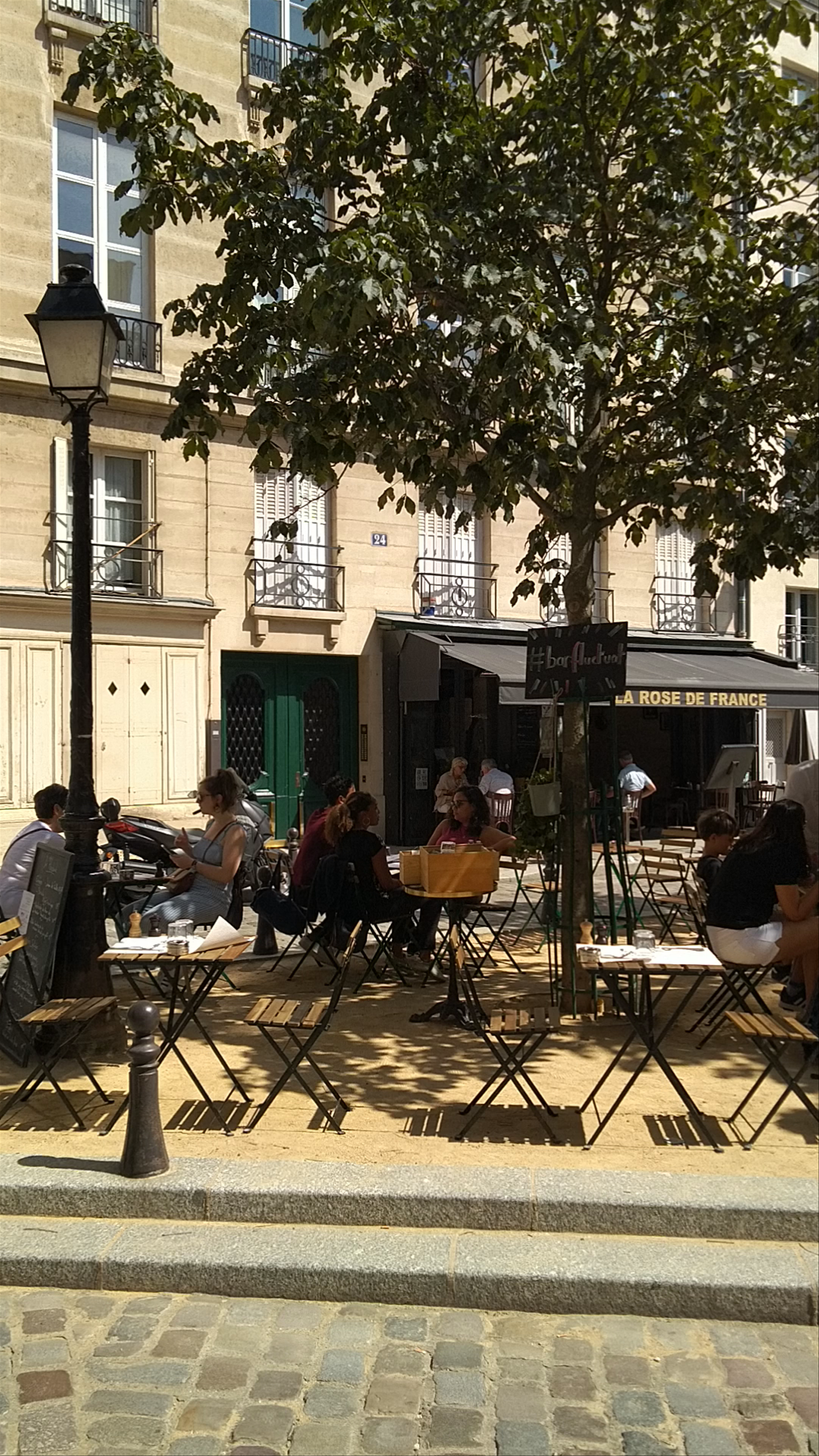 Relaxing Cafe Life at Place Dauphine, Paris