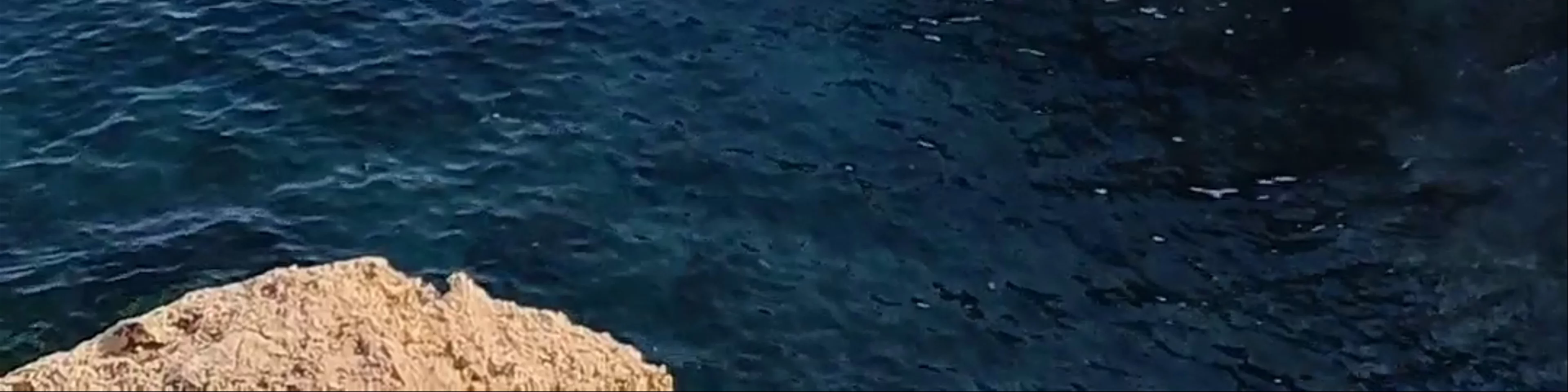 Bridge of Love
