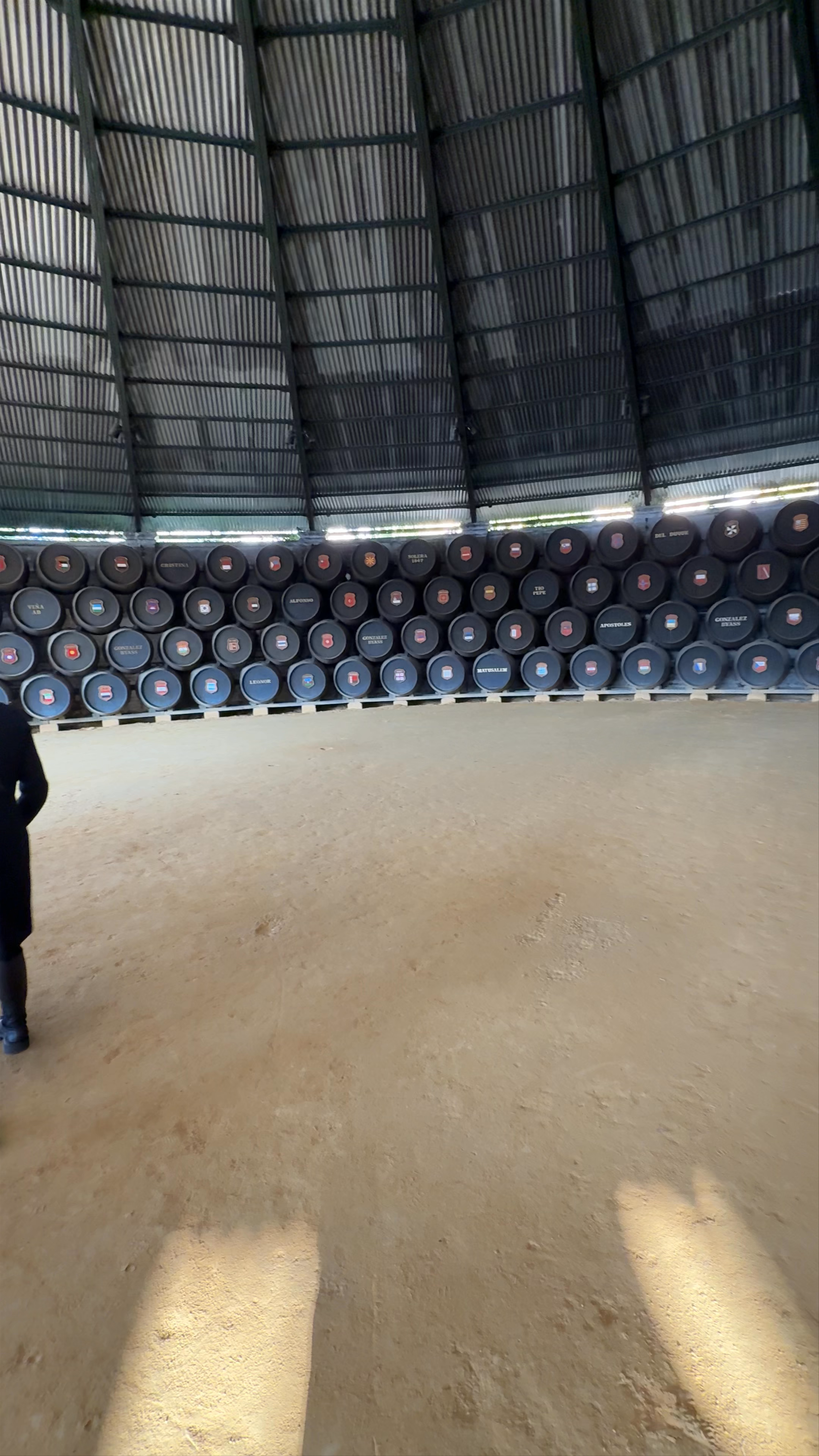 Inside Tío Pepe Bodega: Sherry Tradition in Jerez de la Frontera