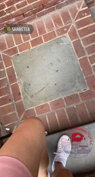 Sharetea - Bubble Tea Near Me - Washington, DC, District of Columbia