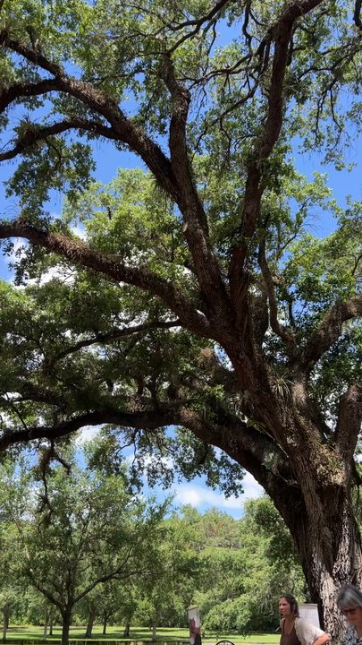 Robbin's Park - Nature - Parks Near Me - Davie, Florida