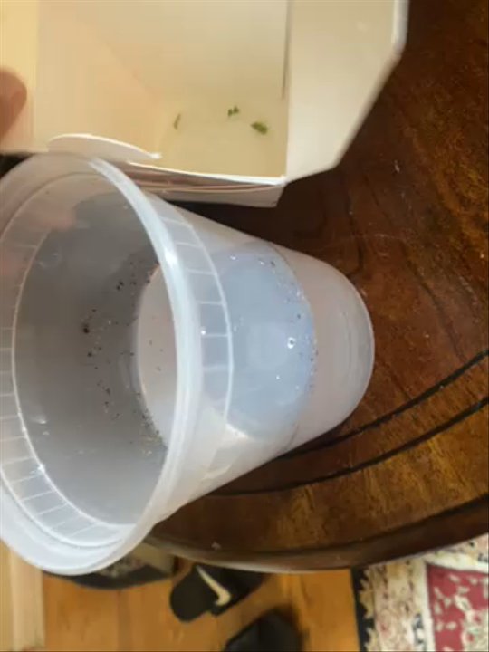 Pho Thom - Don't order from here - Thai Near Me - College Park, Maryland
