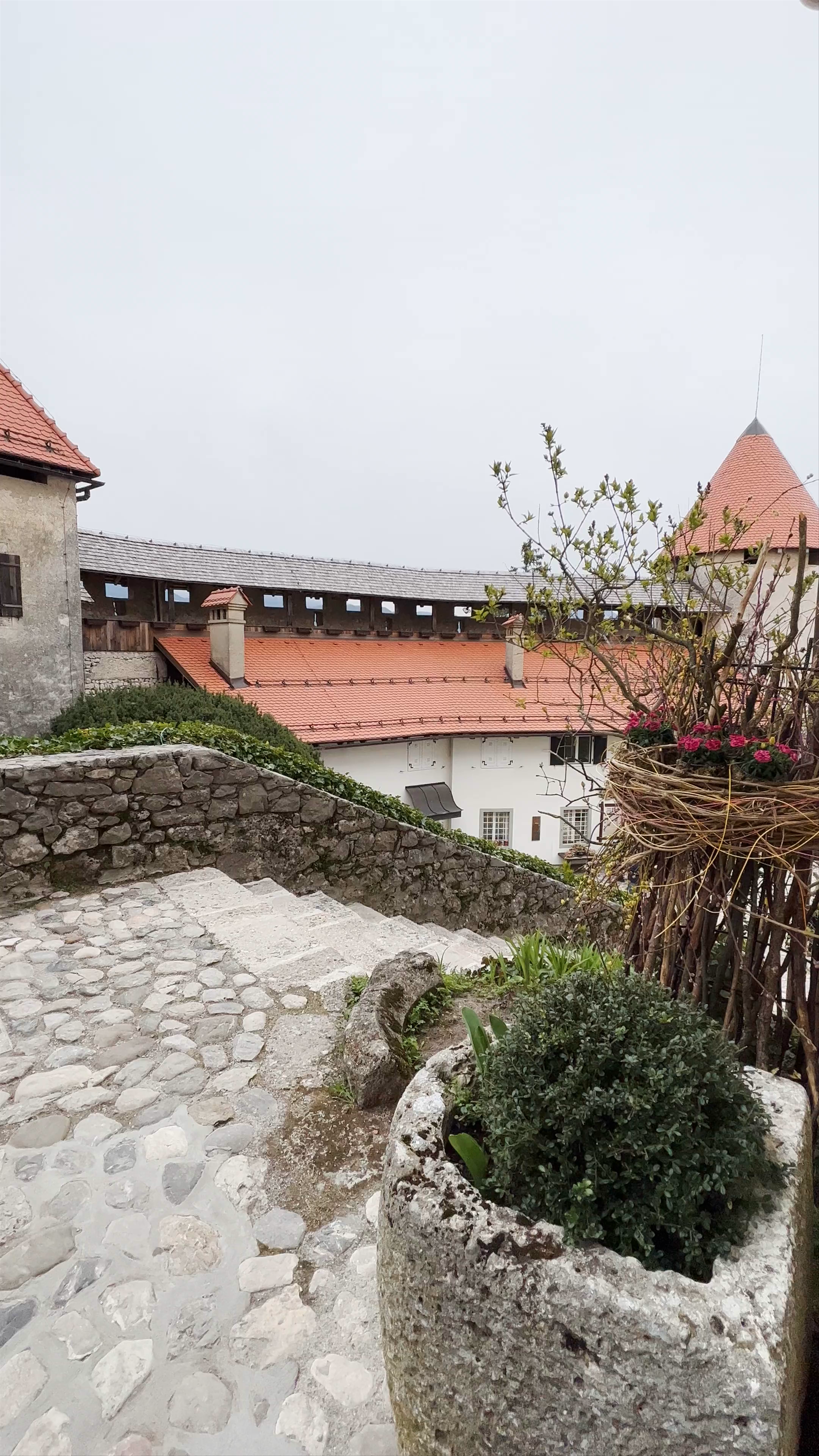 Bled Castle: A Timeless Journey Through Slovenian History