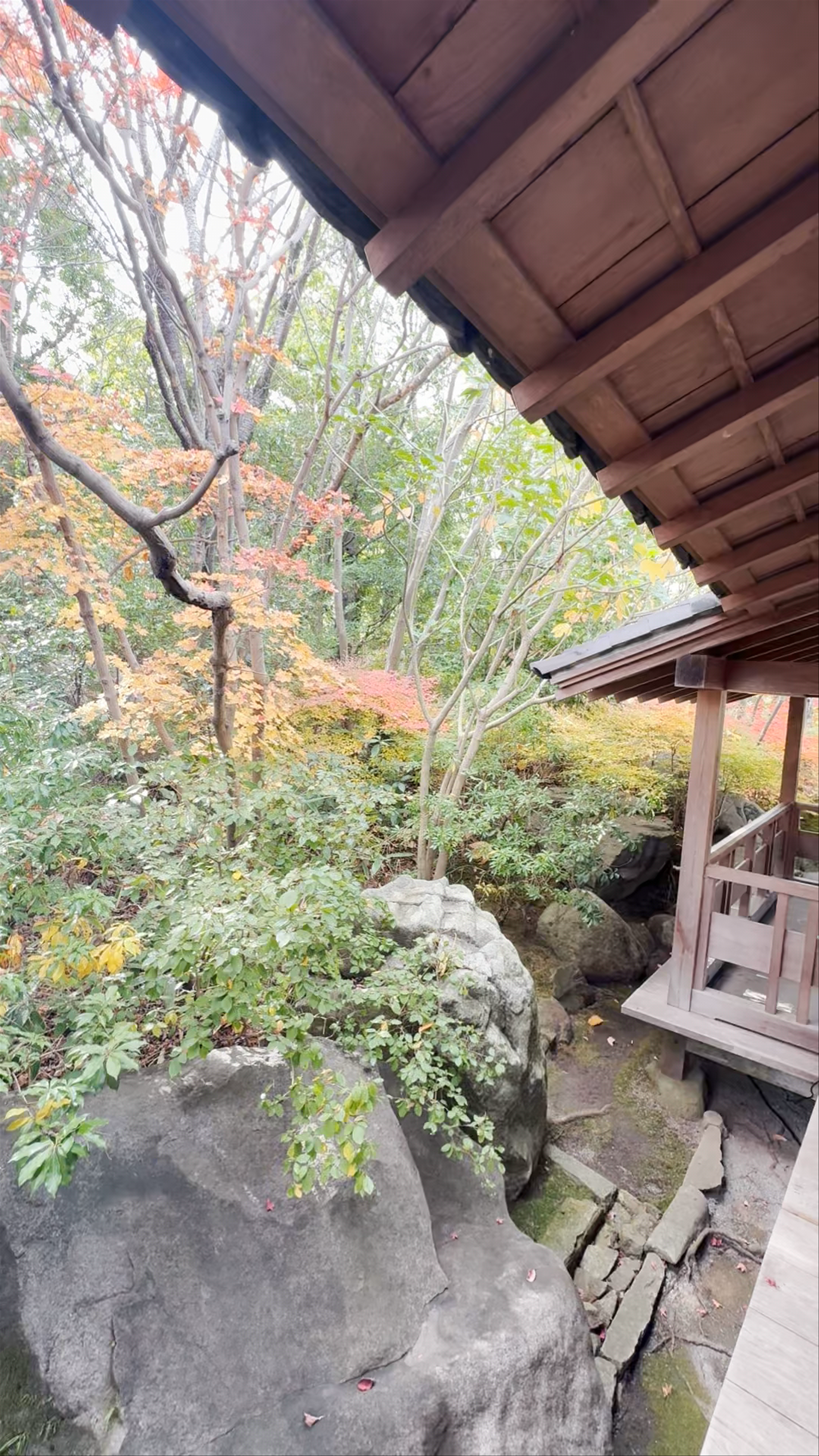Serene Autumn Reflections at Himeji Park, Japan