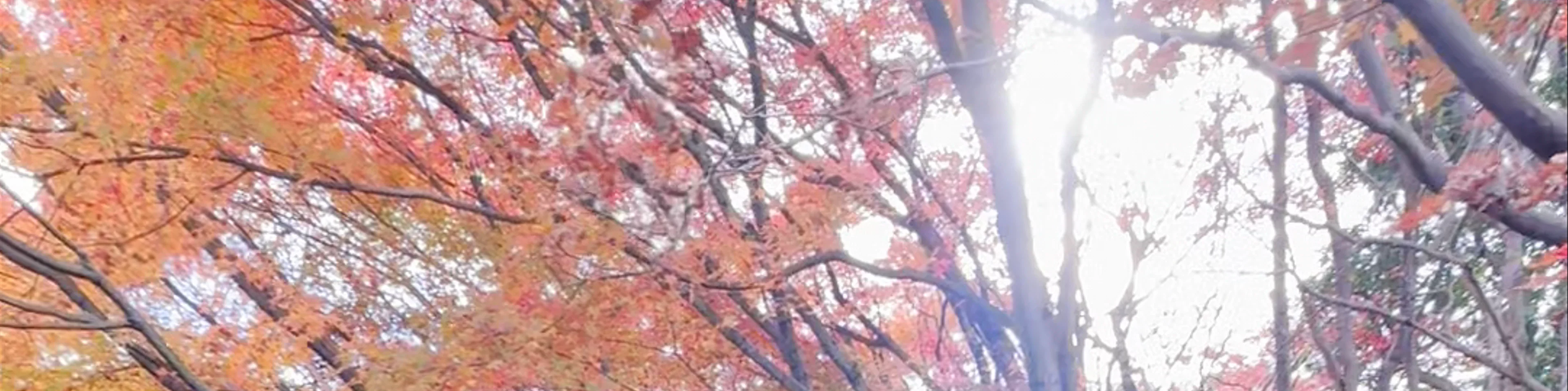 Himeji Park