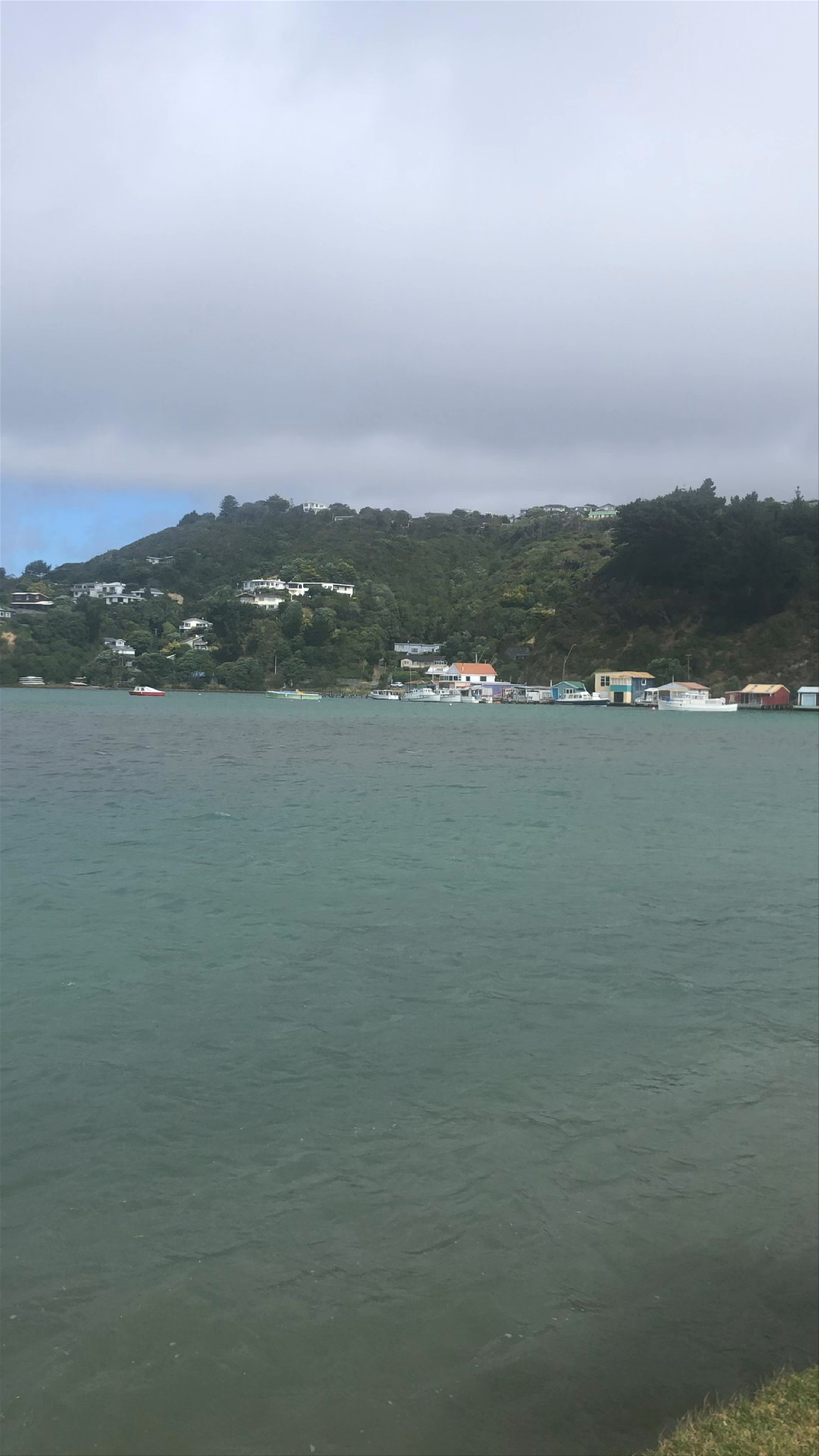 Dolly Varden Beach Mana Esplanade