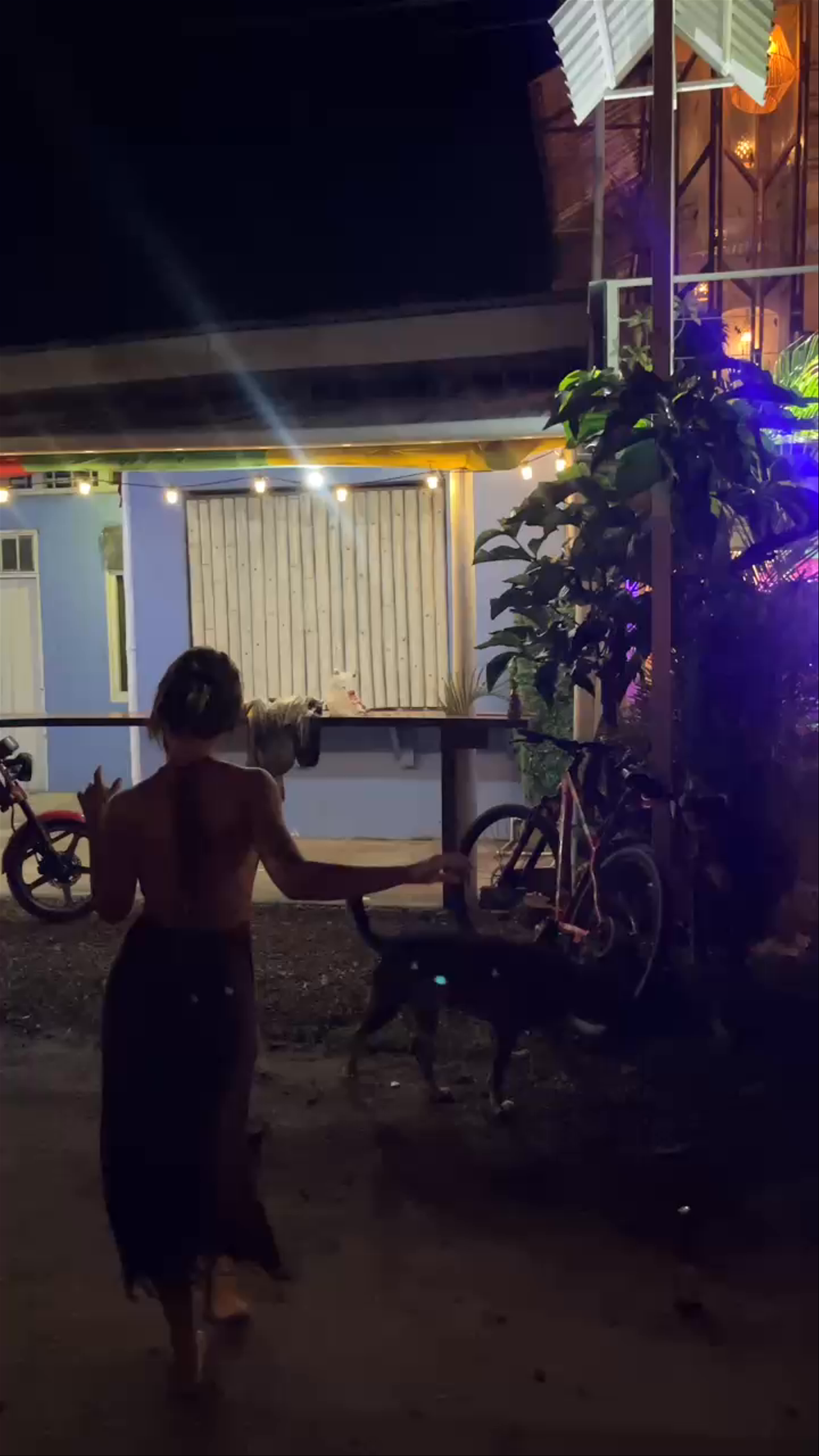 The Kat House natural wine bar