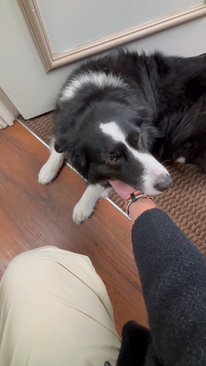 Chiropractic Wellness Group - The sweetest little Lucy girl - Chiropractors Near Me - Pasadena, California
