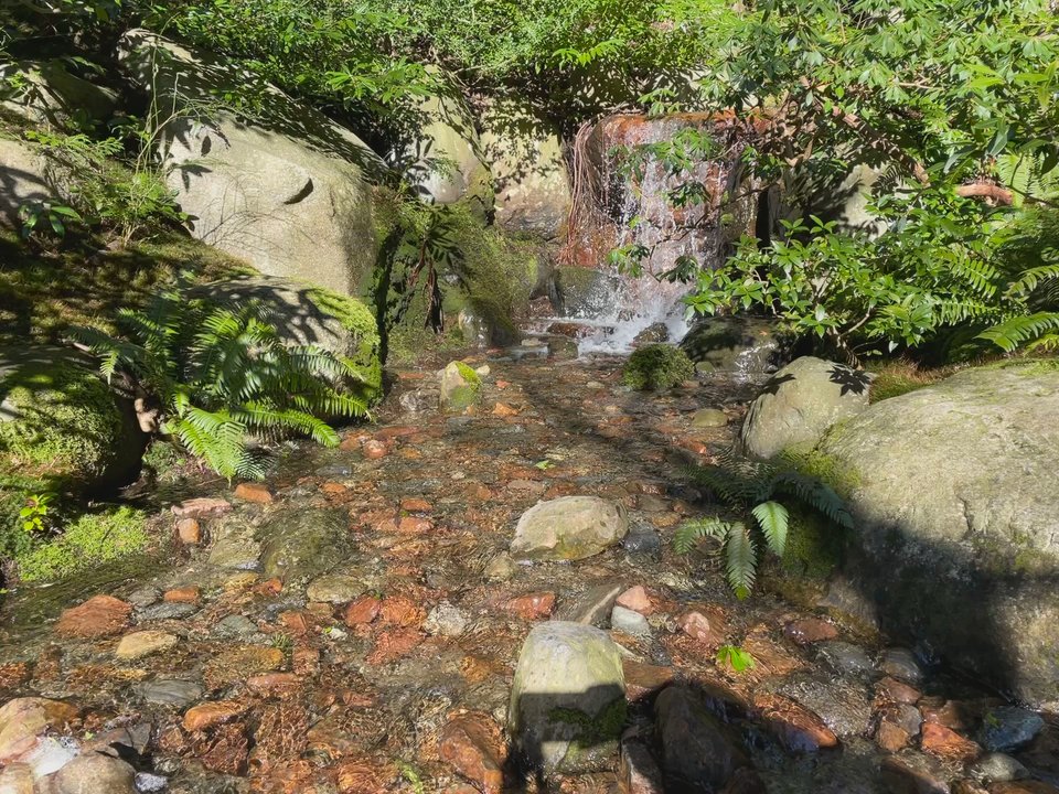 Nitobe Memorial Garden - Landmarks & Historical Buildings Near Me - Vancouver, British Columbia