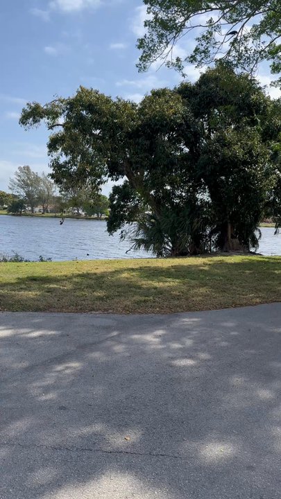 John Prince Campgrounds - Look at the iguanas running around and climbing the trees! They also swim which I never knew they could! - Campgrounds Near Me - Lake Worth, Florida