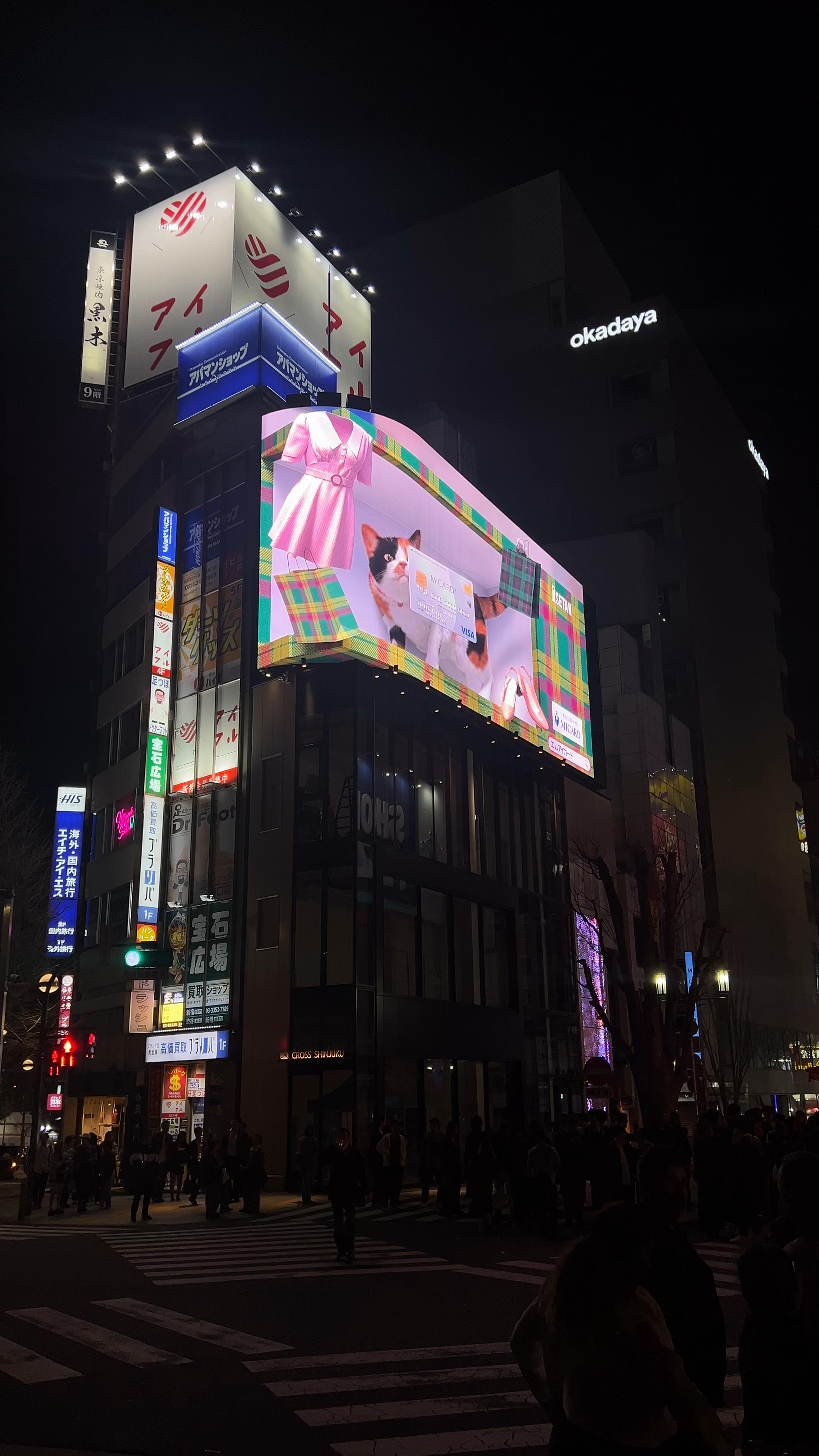 3D Cat Cross Shinjuku Space at Night in Tokyo