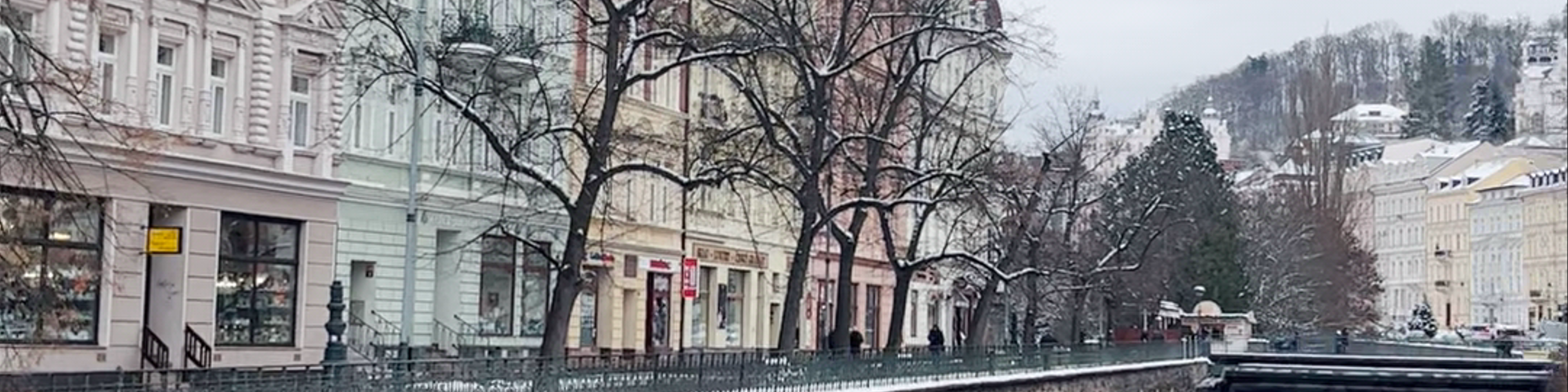Karlovarský