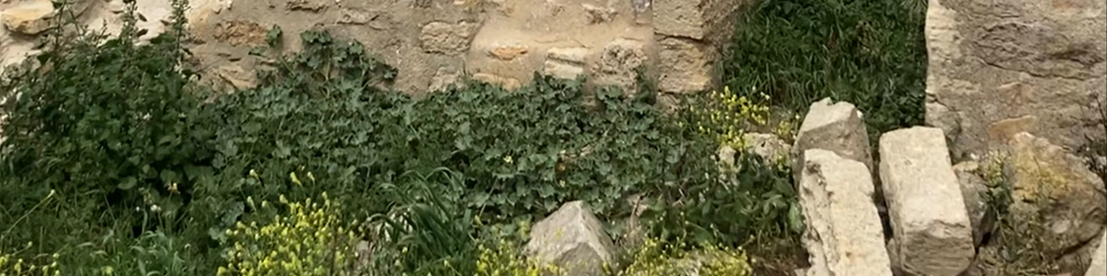 Château de Tourvieille ou Tour du Tampan
