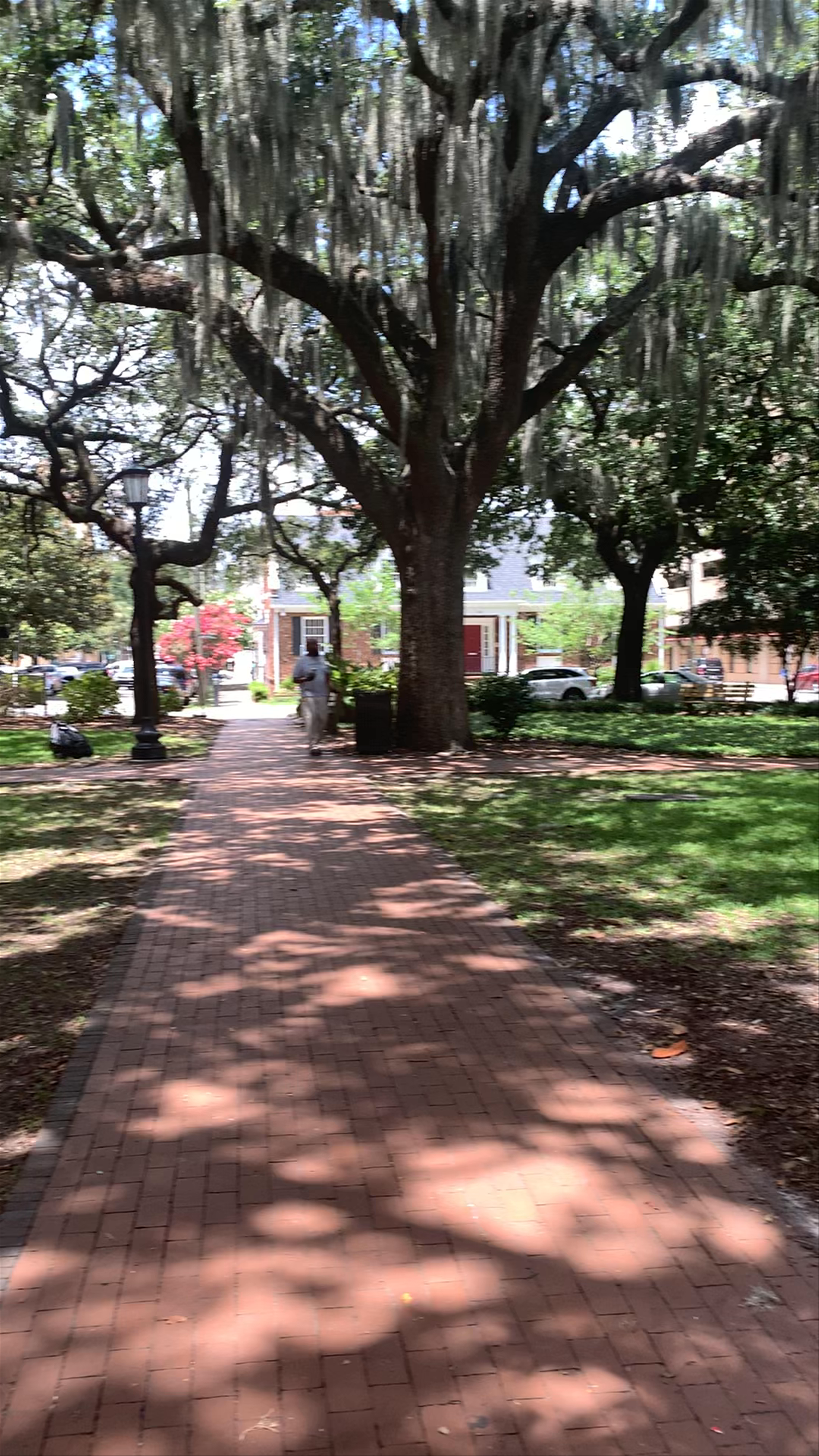 Oglethorpe Square