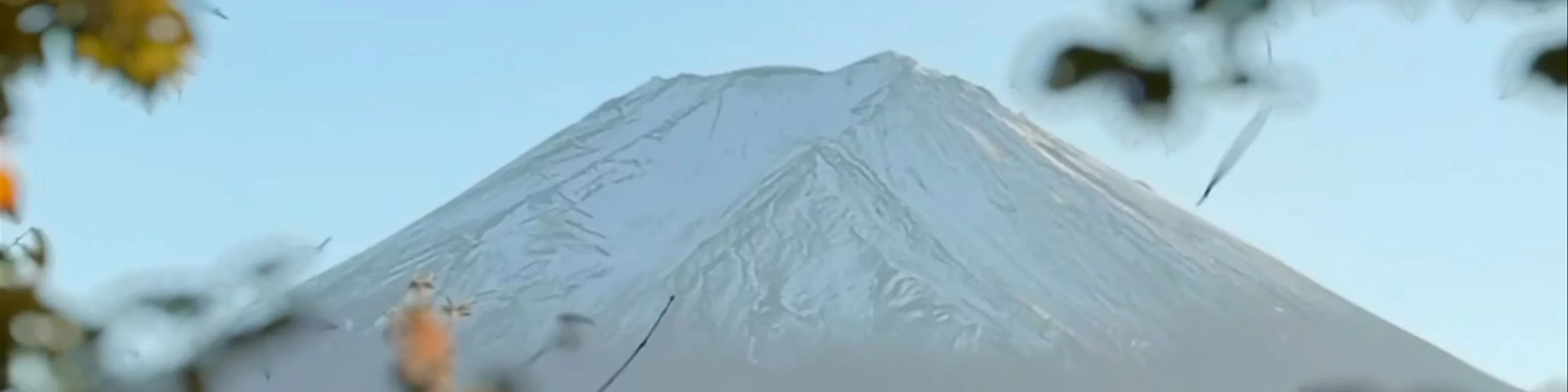 Mount Fuji