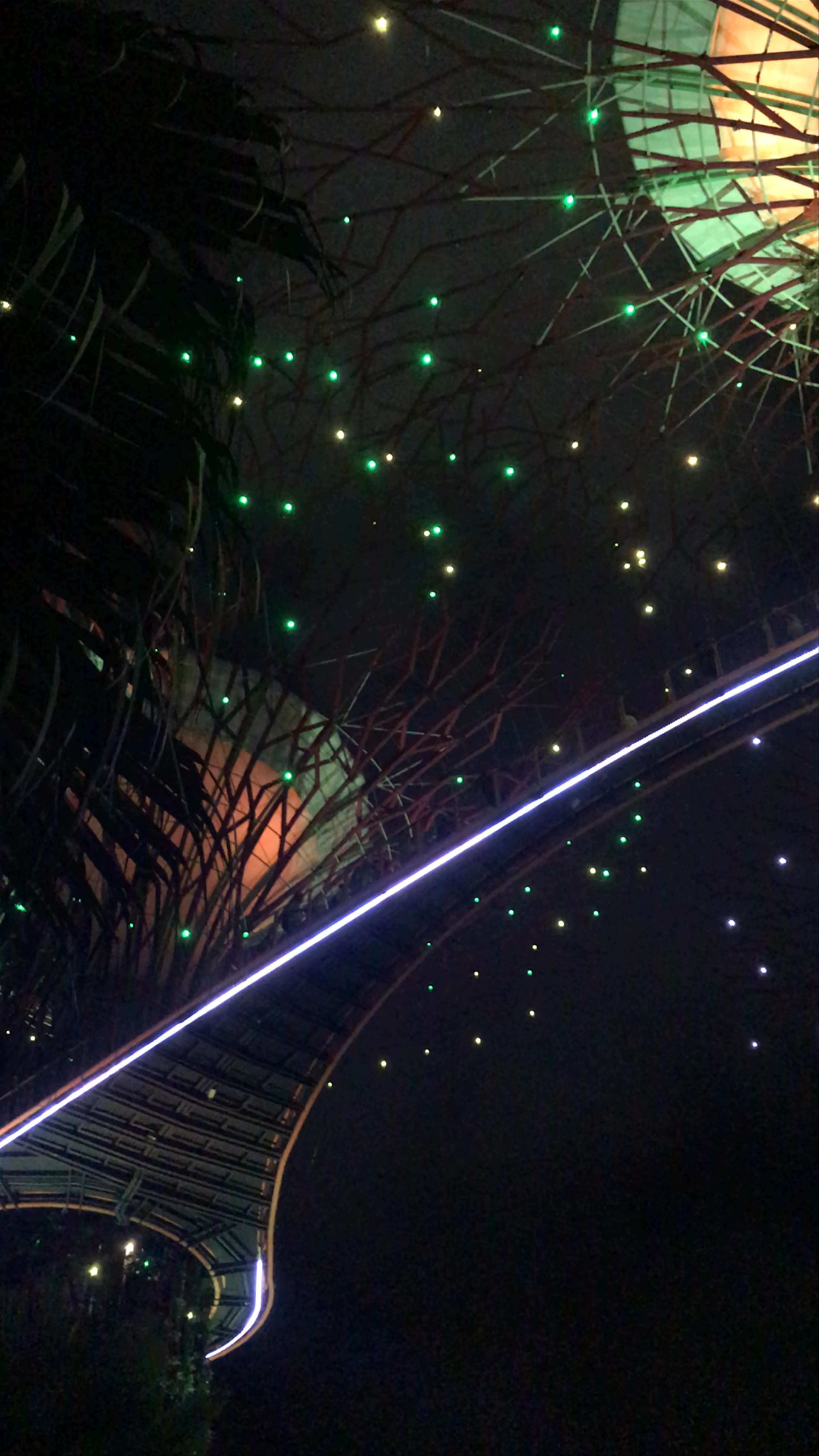 Gardens by the Bay: Magical Night Lights at Marina Gardens Drive, Singapore