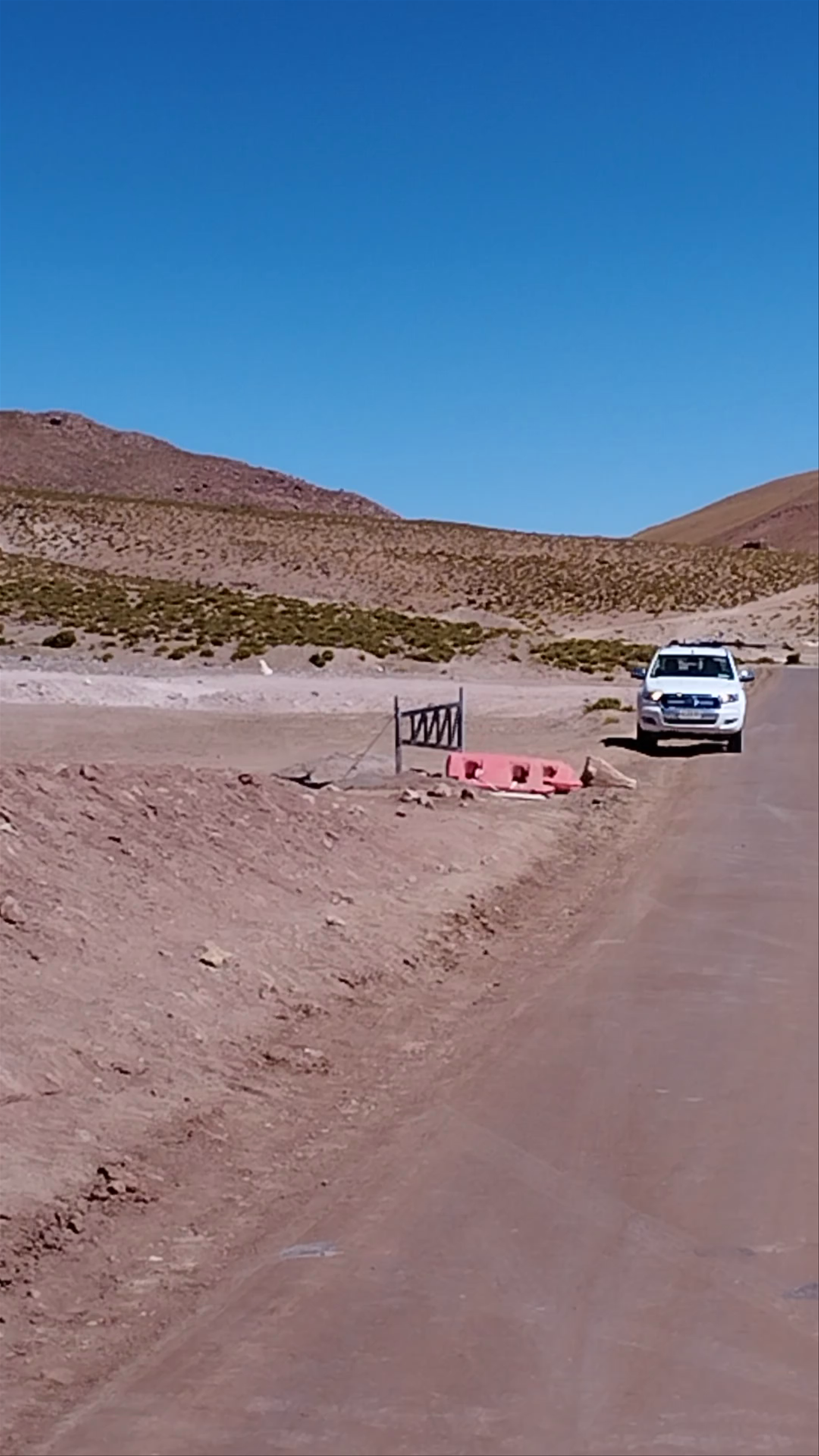 Laguna Flamingos: Wildlife & High-Altitude Desert Adventure in Machuca, Chile