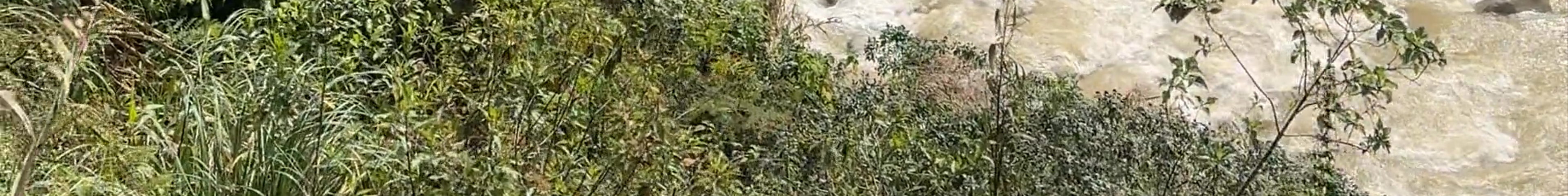 Tours & experiences in Huánuco