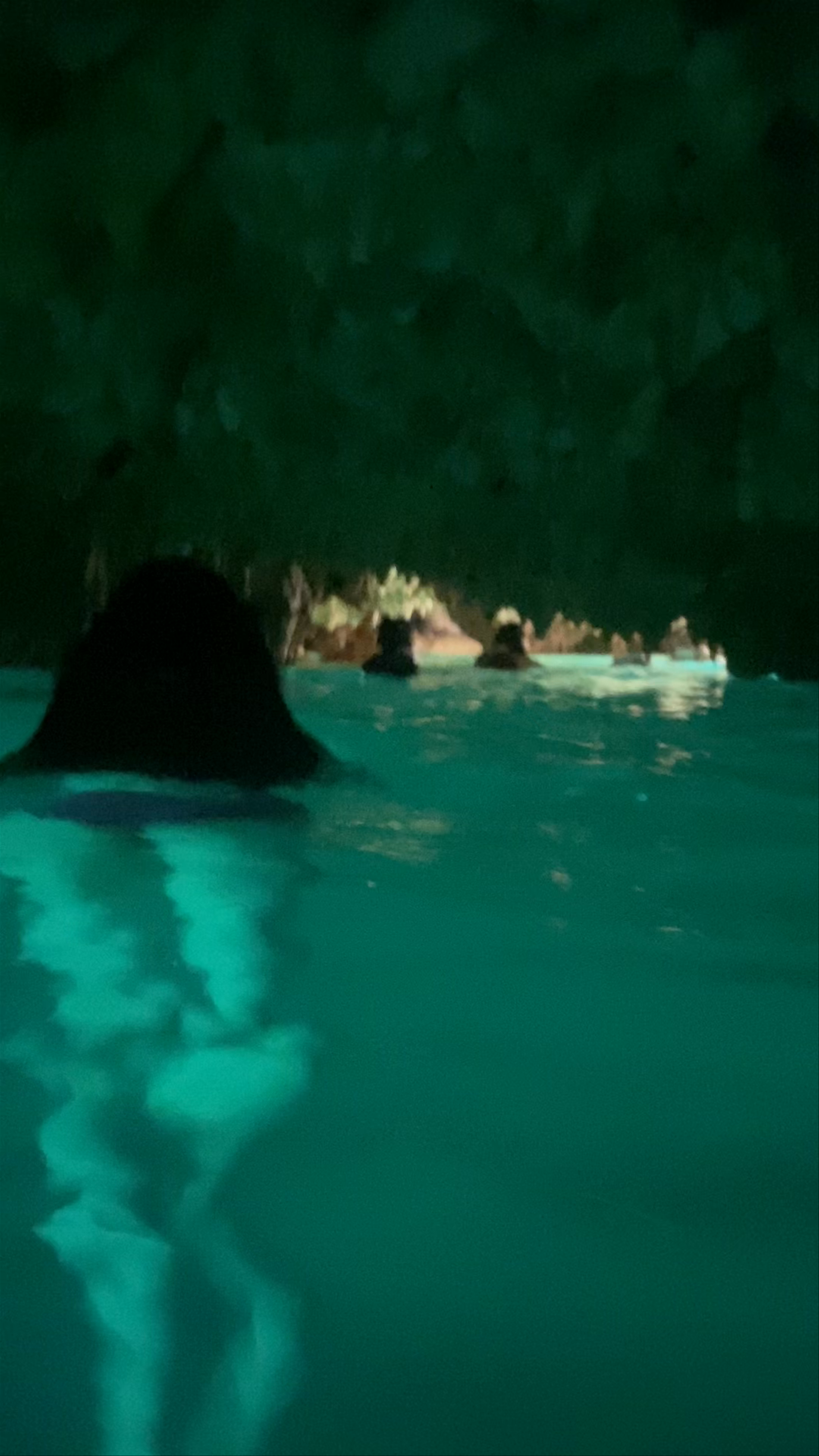 Night Swim Adventure in Tulum's Enchanting Underground Cenote