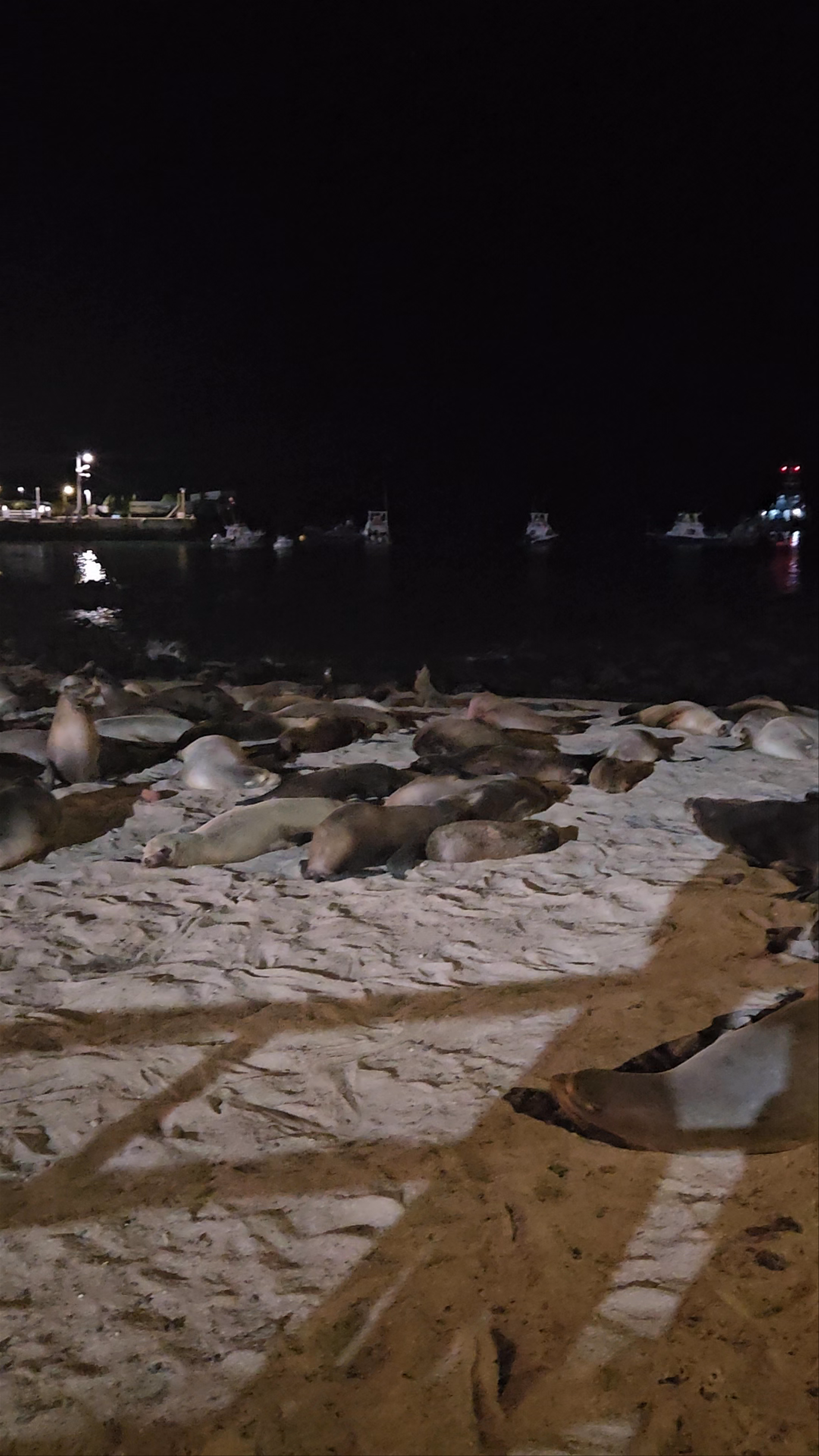 San Cristobal Main Dock