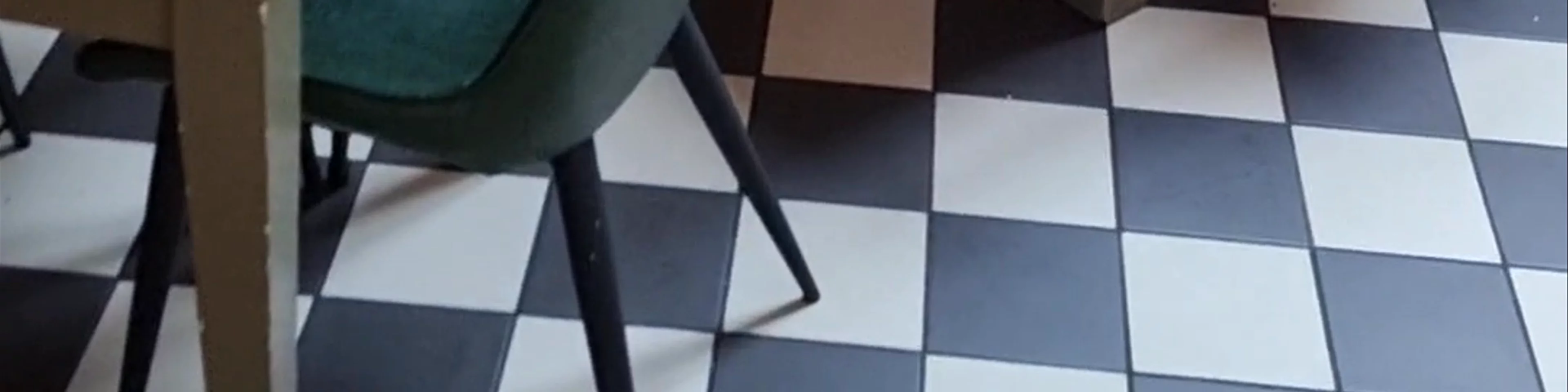 The Loopy Shrew